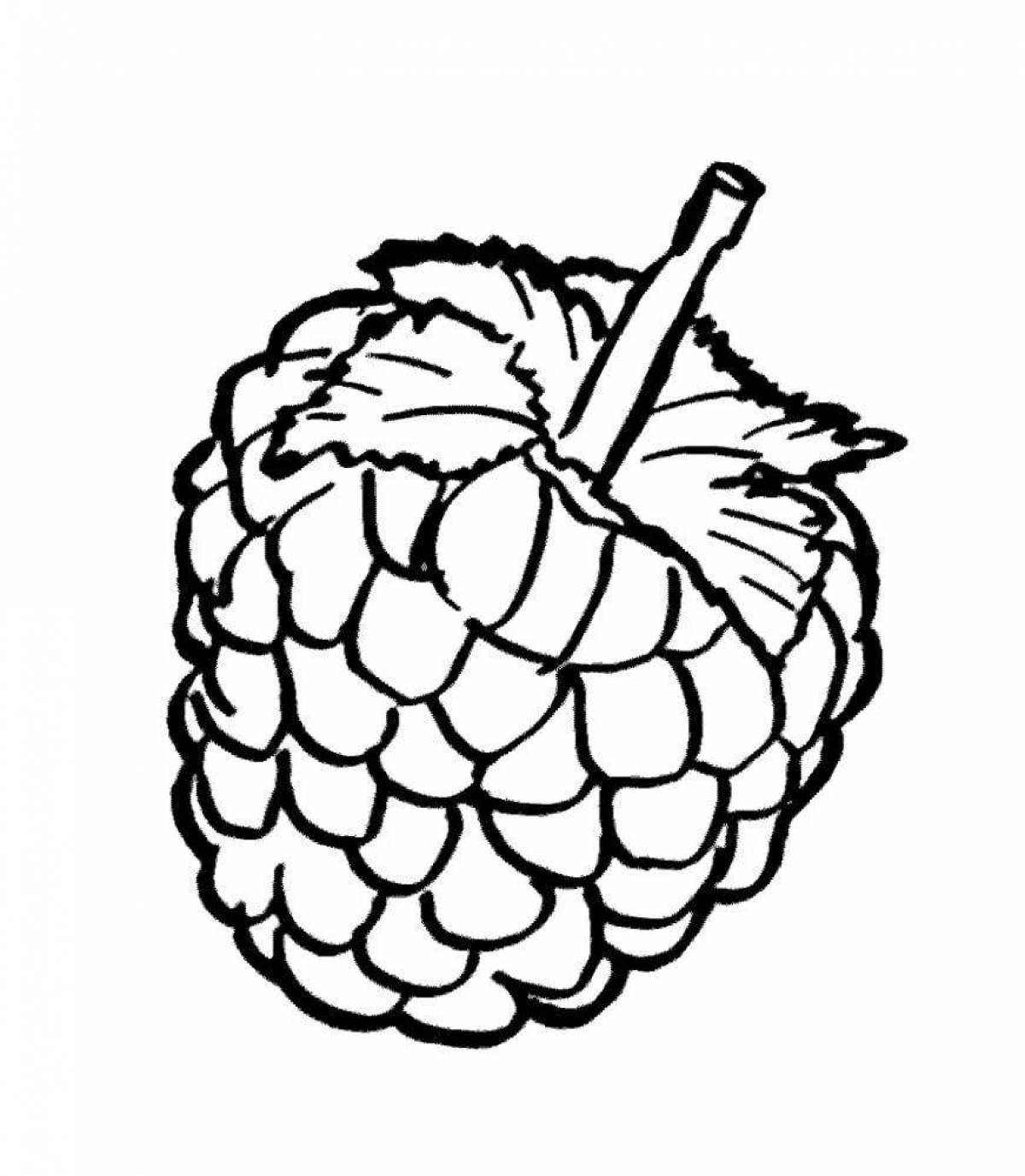 Fun raspberry coloring book for preschoolers 3-4 years old