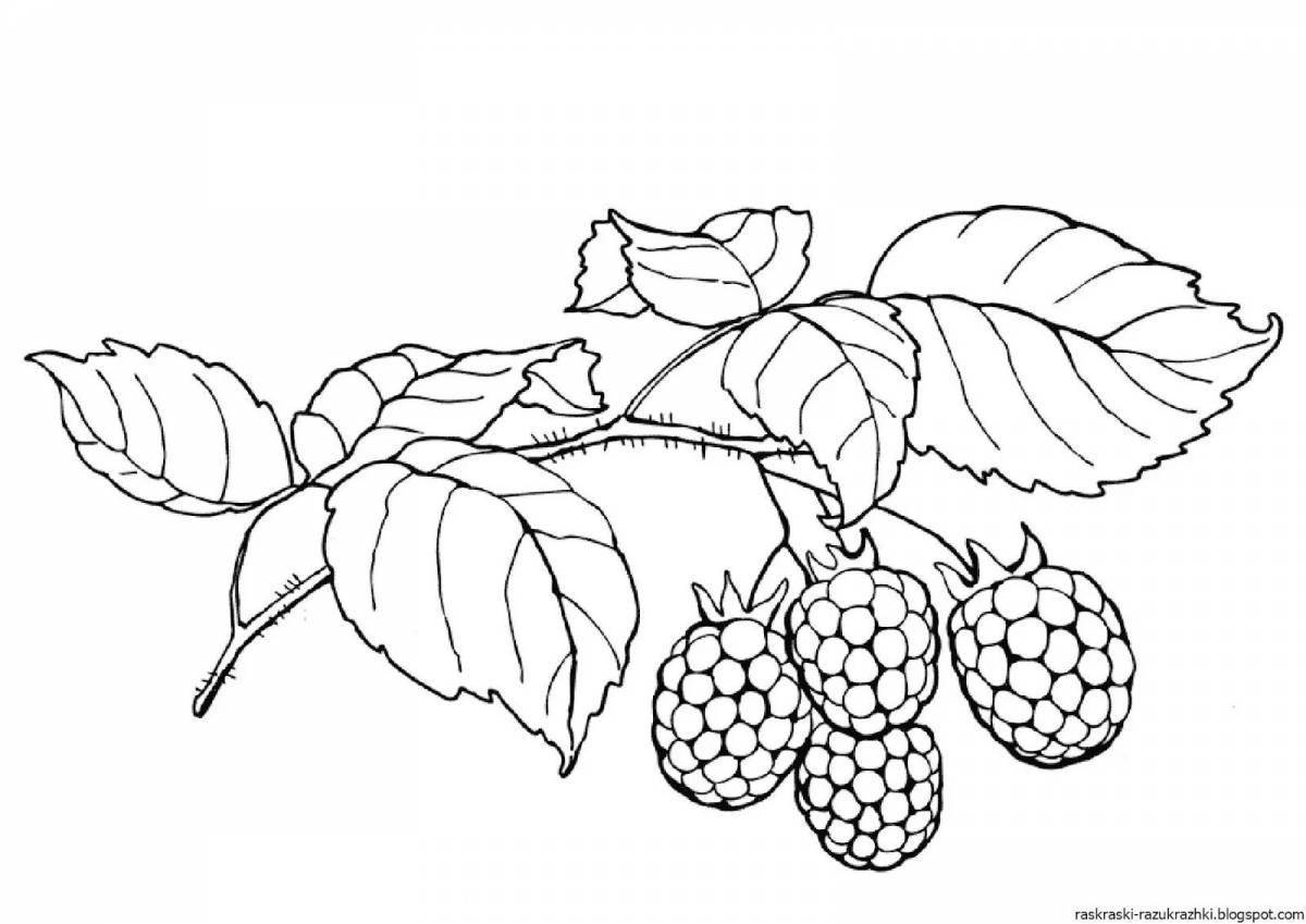 Coloring page joyful raspberry for children 3-4 years old