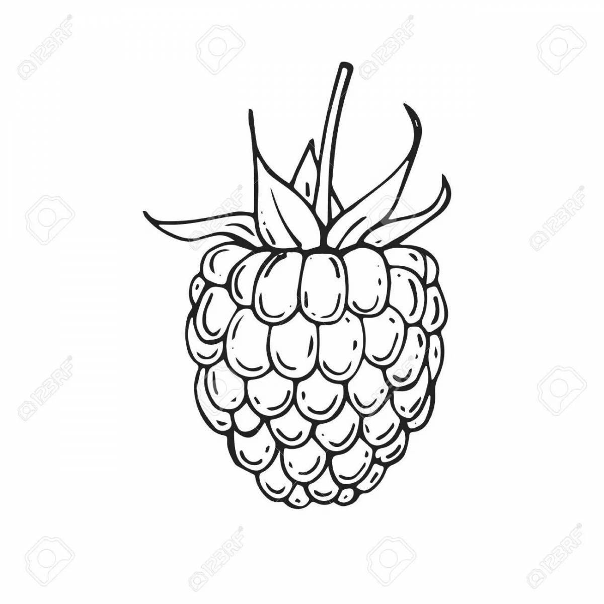 Gorgeous raspberry coloring book for 3-4 year olds