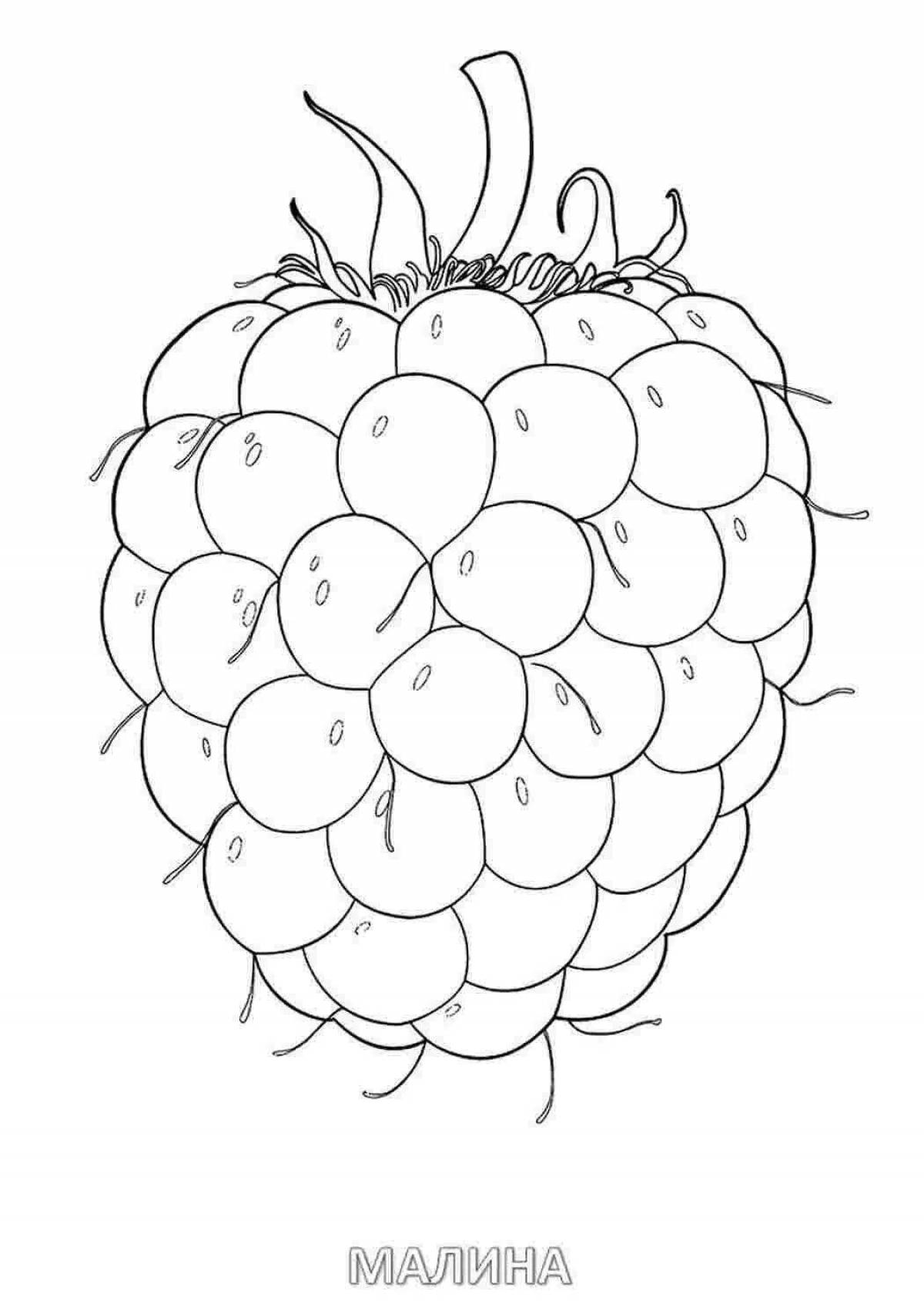 Fun raspberry coloring book for 3-4 year olds