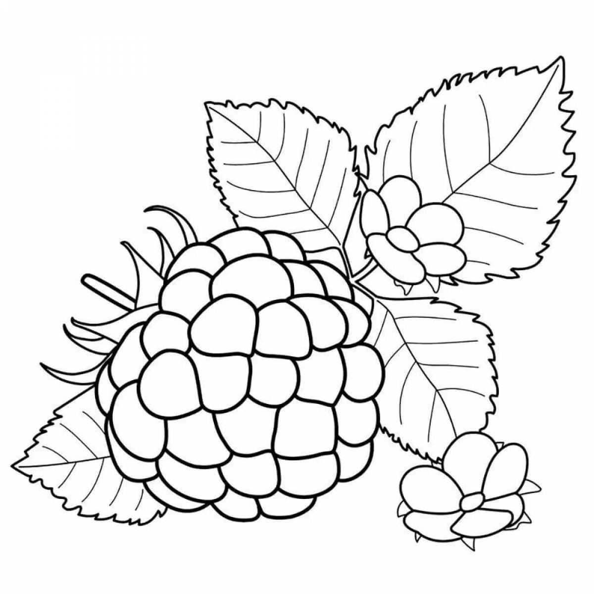 Очаровательная малиновая раскраска для дошкольников 3-4