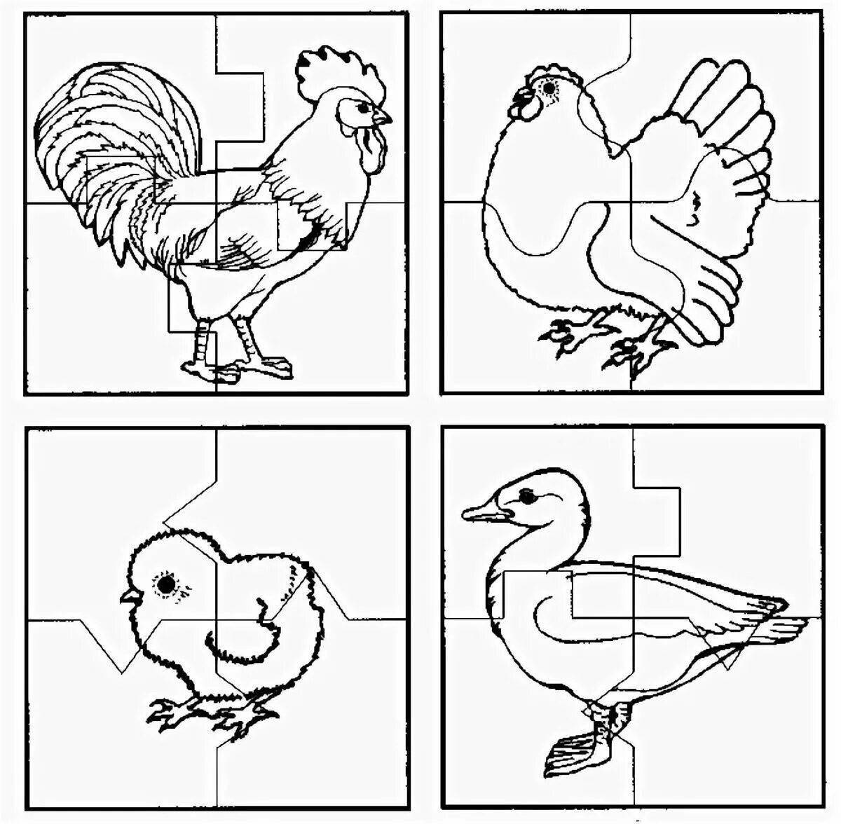 Tempting bird coloring page for kids