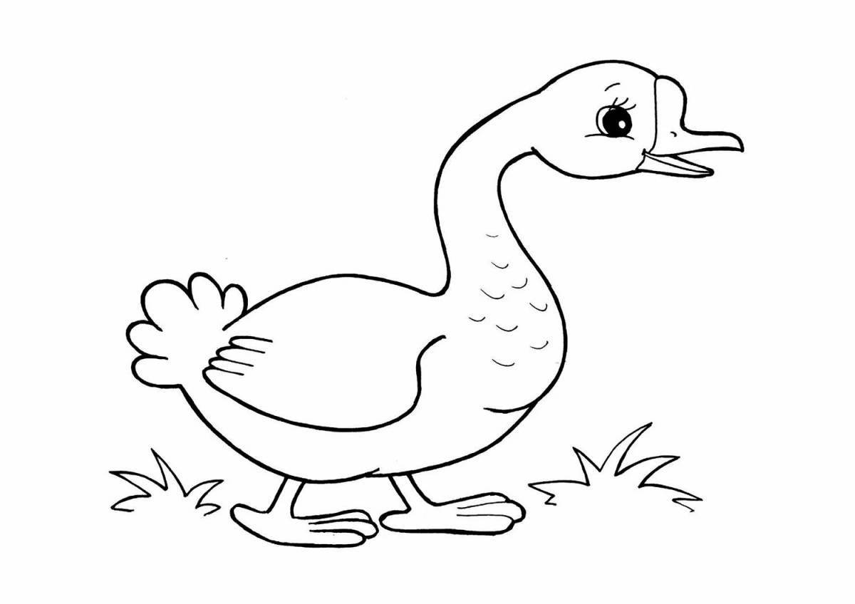 Attractive bird coloring page for 5-7 year olds
