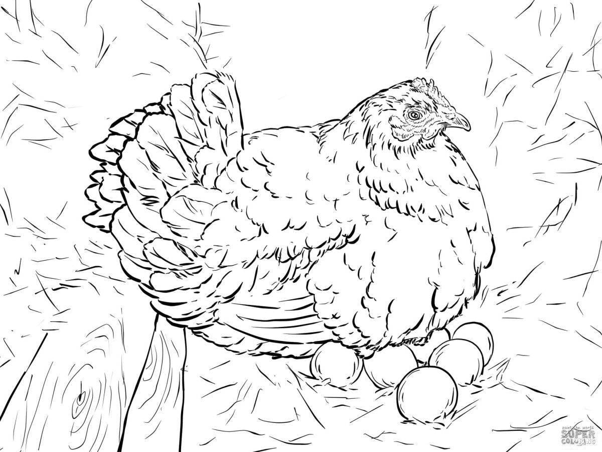 Яркая раскраска цыпленок ряба для малышей