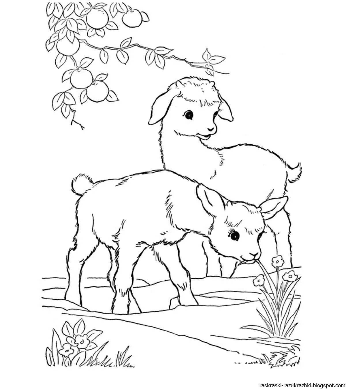 Playful coloring book pets for children 5-7 years old