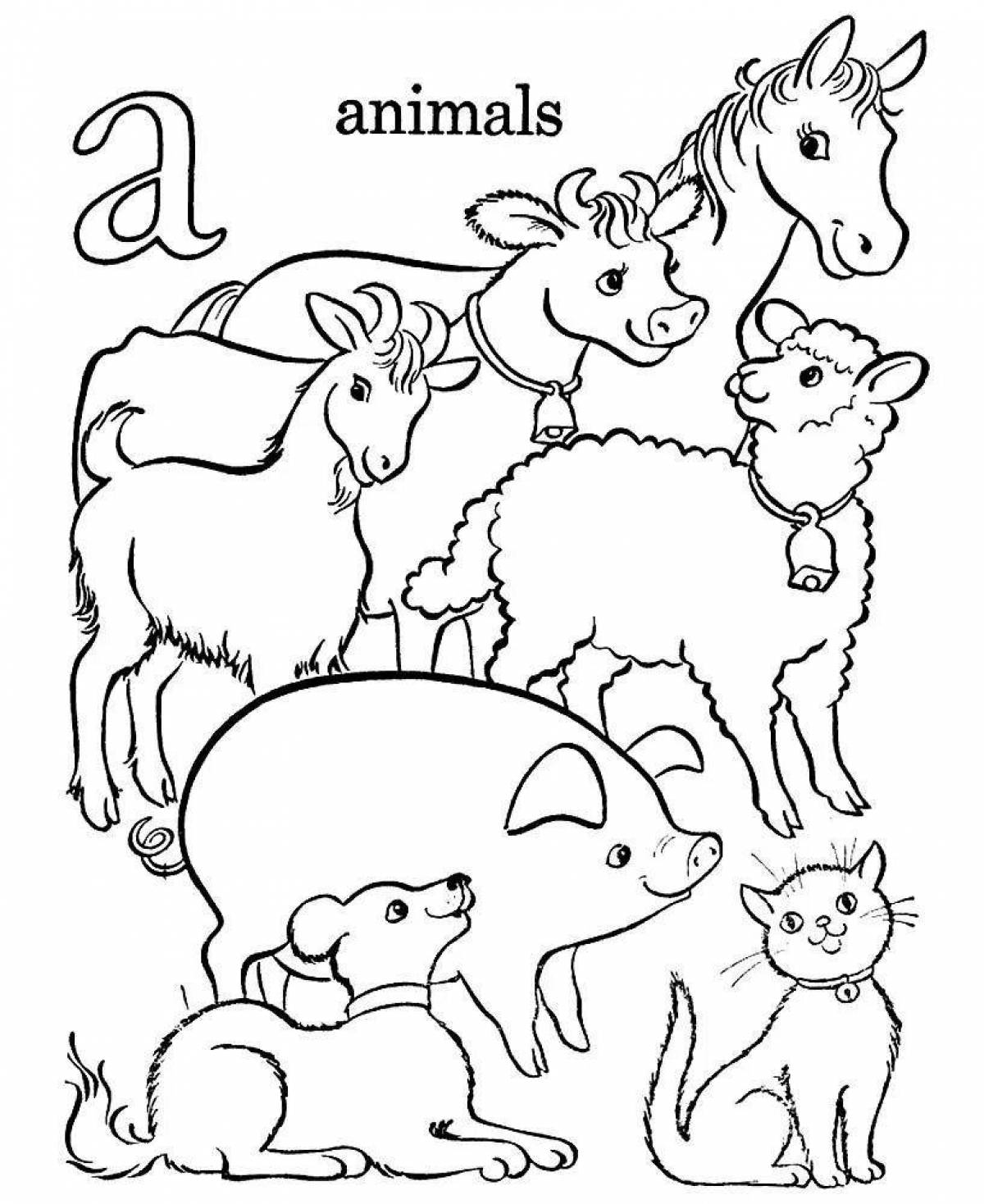 Cute animal coloring pages for 5-7 year olds