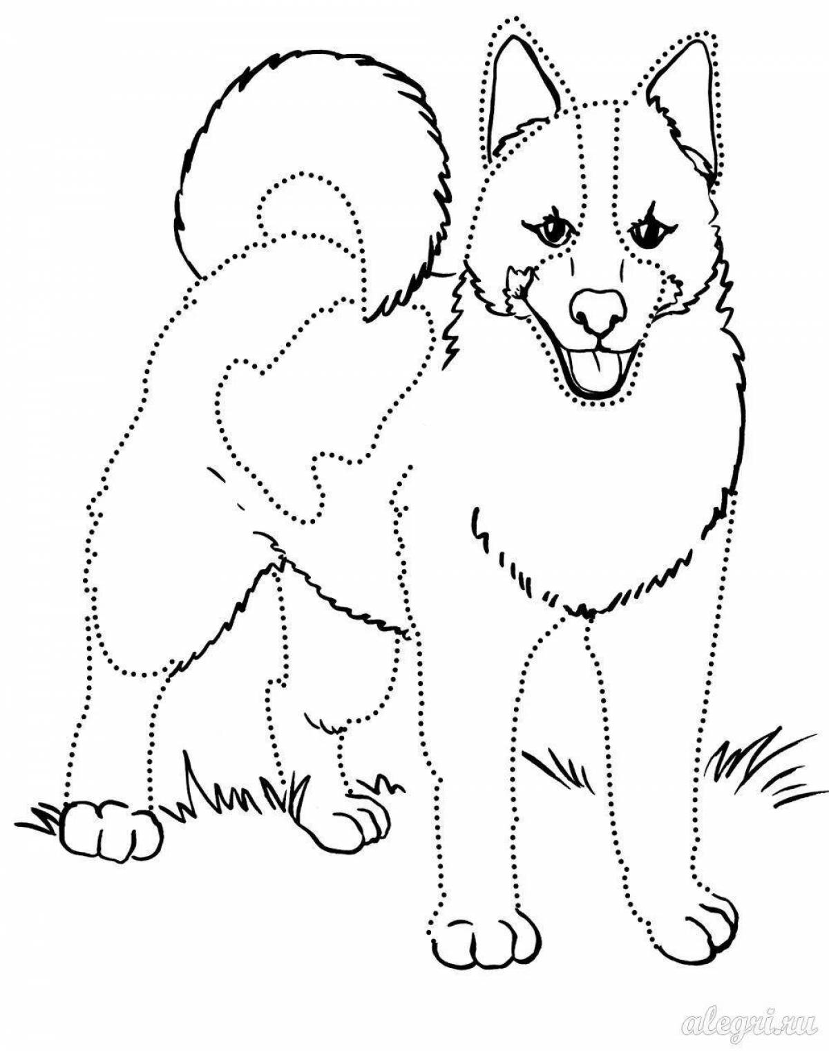 Playful pet coloring book for 5-7 year olds