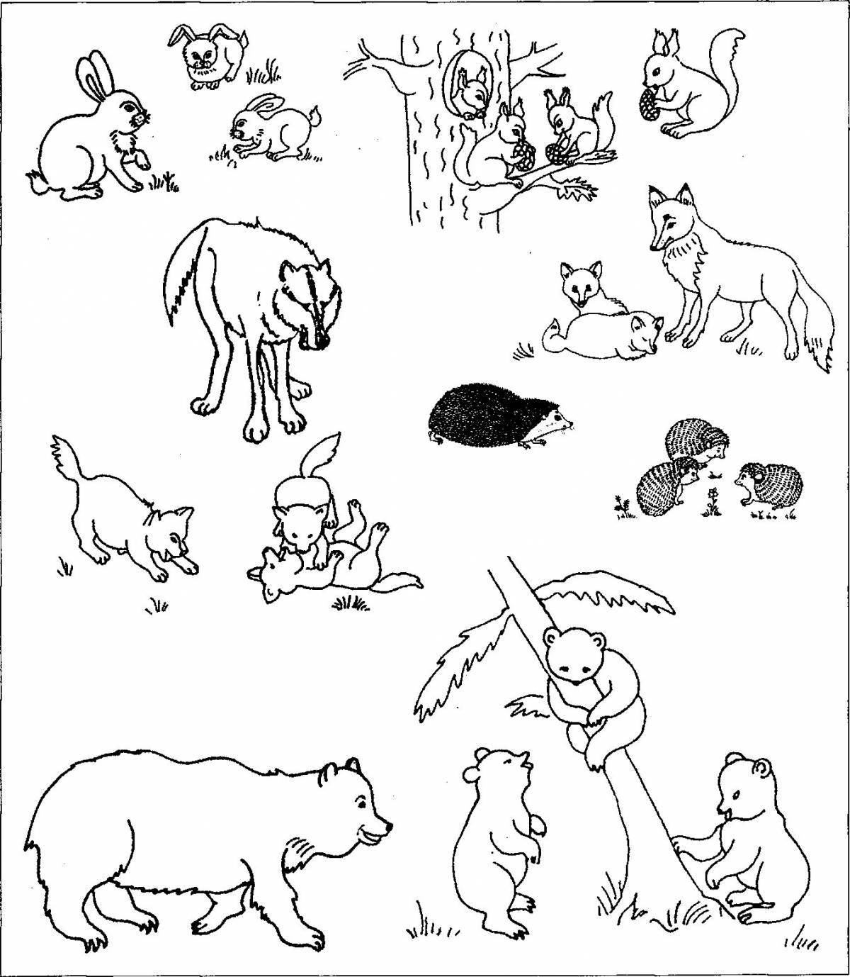 Выдающаяся раскраска «кто живет там, где живут дикие животные» для детей