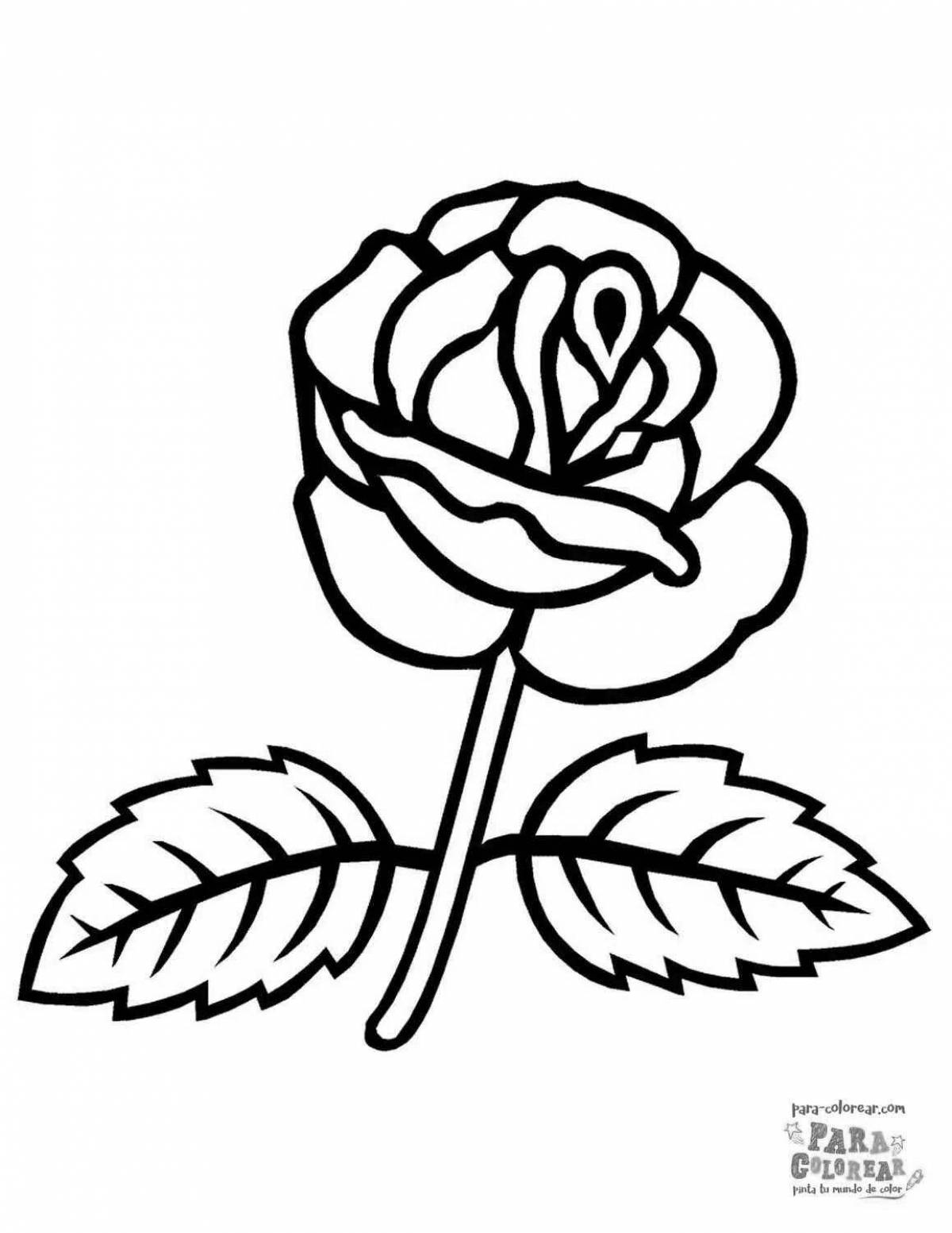 Роза раскраска для малышей