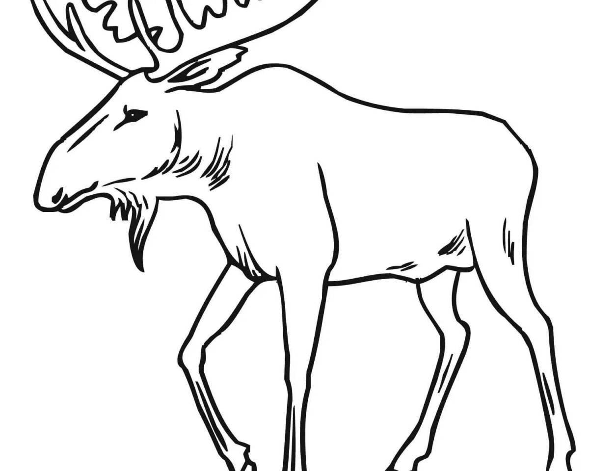 Adorable moose coloring book for kids 6-7 years old