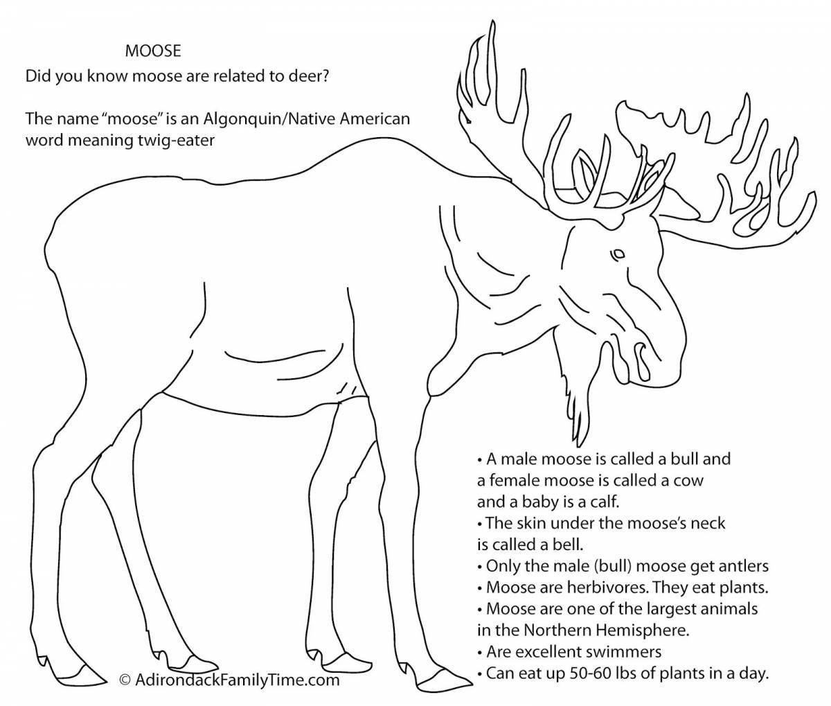 Coloring book funny elk for children 6-7 years old