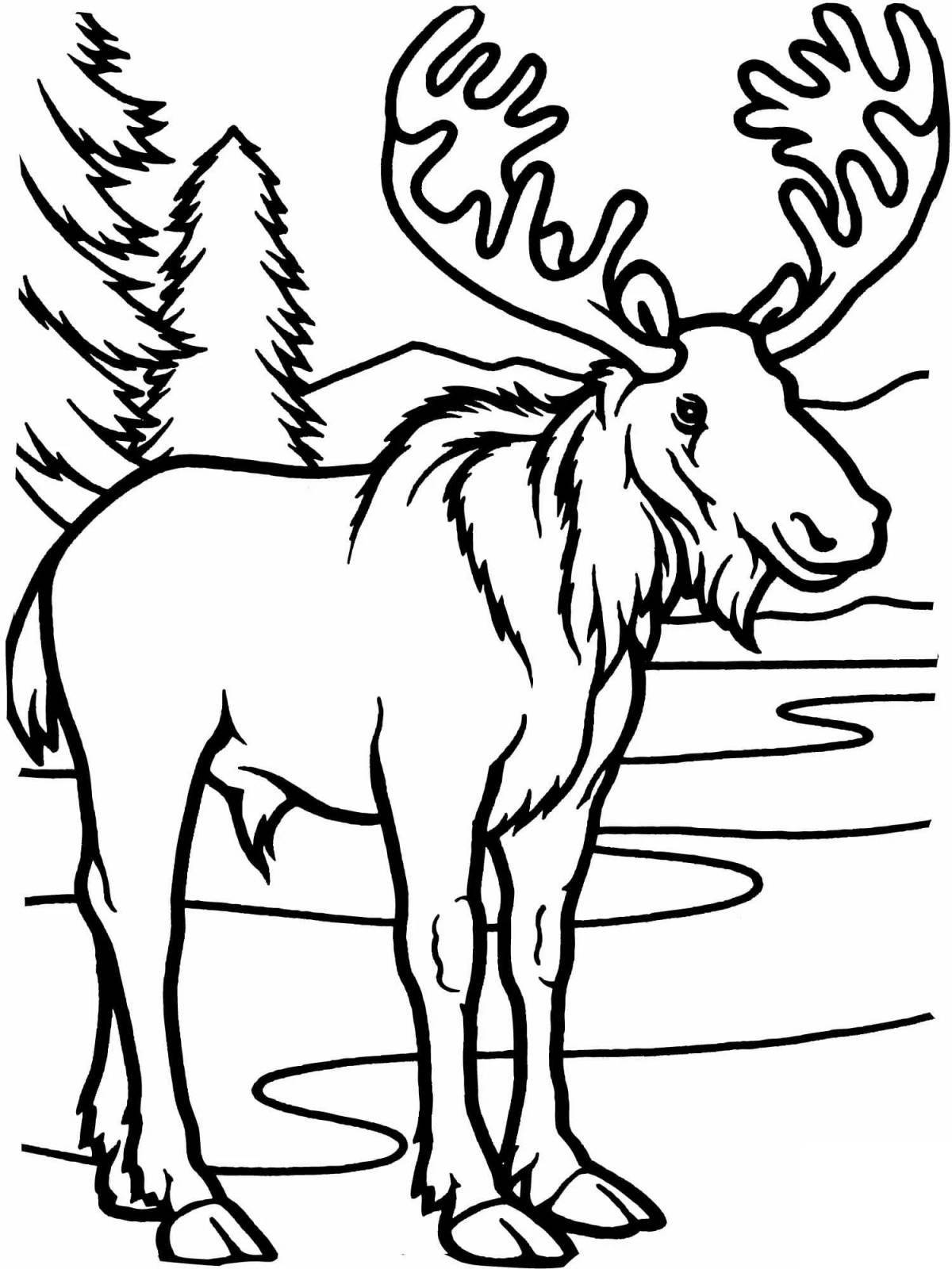 Fabulous elk coloring book for children 6-7 years old