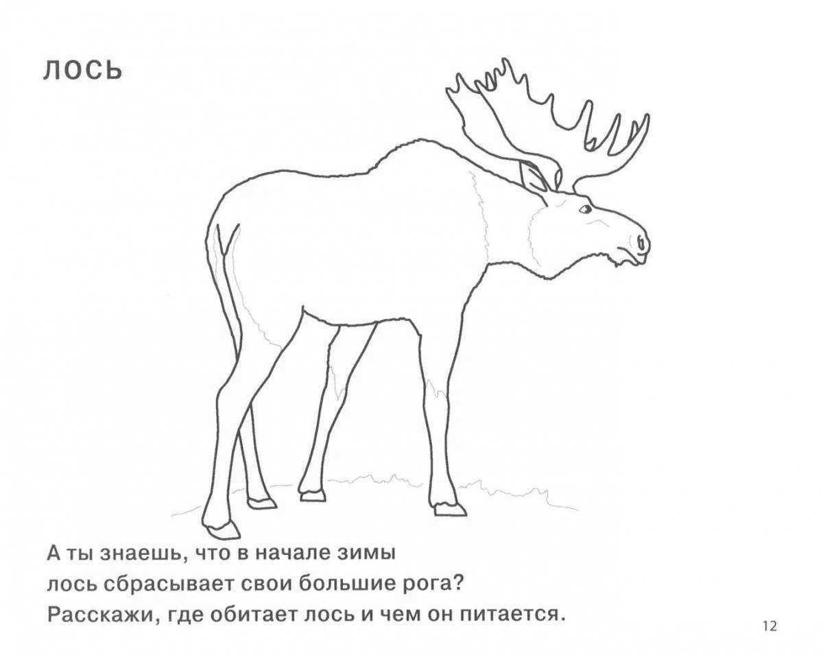 Exquisite elk coloring book for 6-7 year olds