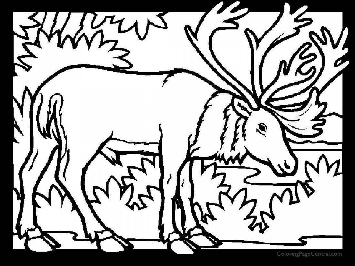 Perfect Moose coloring book for 6-7 year olds