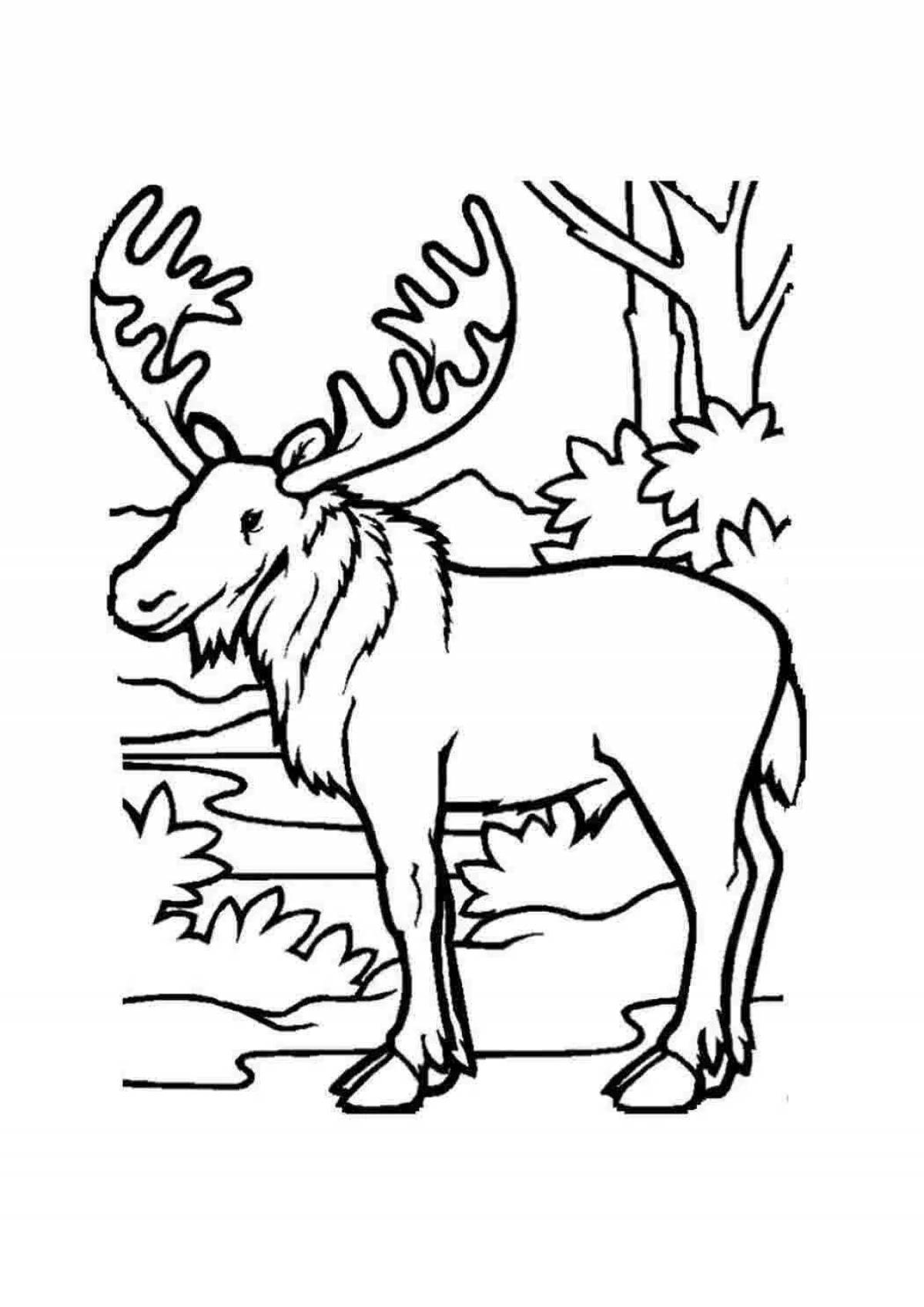 Great elk coloring book for kids 6-7 years old