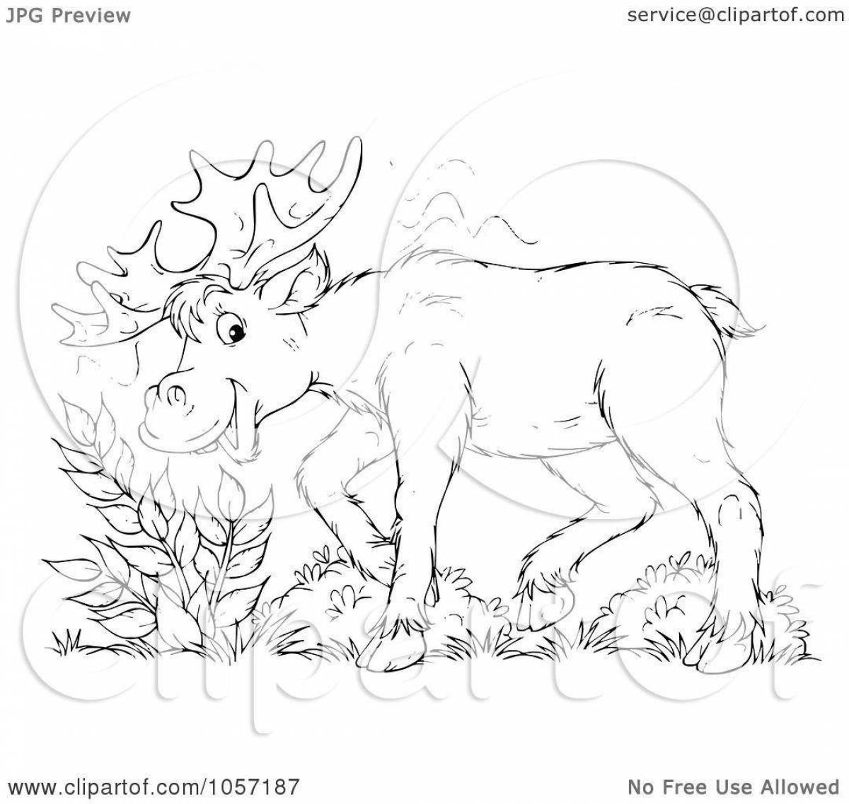 Effective moose coloring book for 6-7 year olds