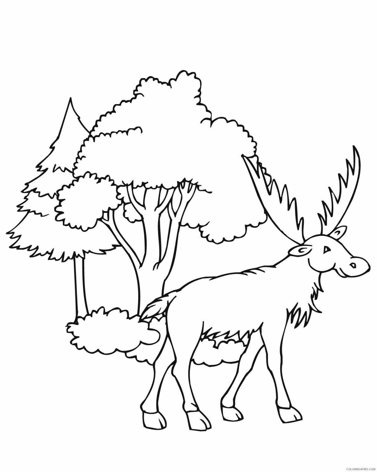 Unforgettable elk coloring book for kids 6-7 years old