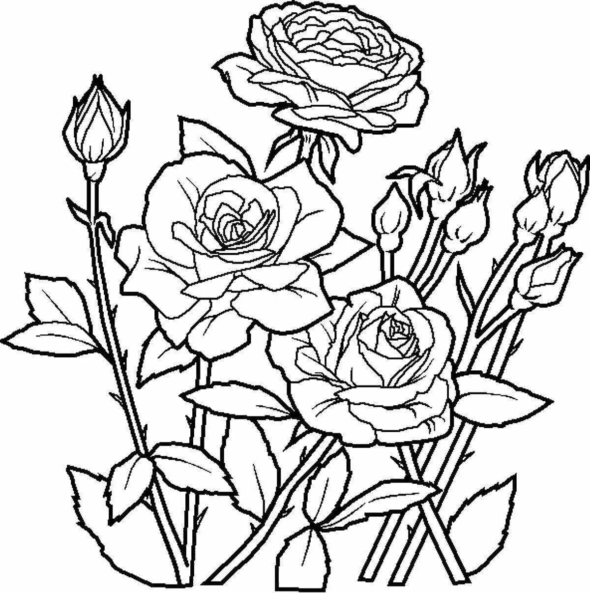 Изысканная раскраска розы для детей 5-6 лет
