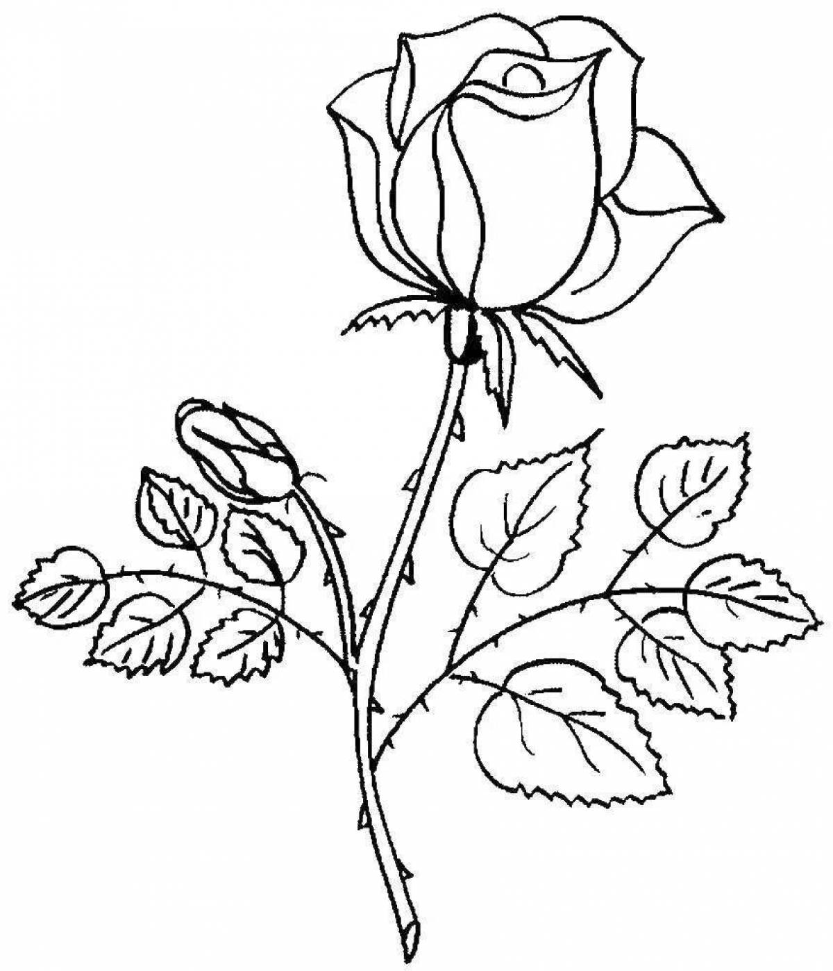 Великолепная раскраска розы для детей 5-6 лет