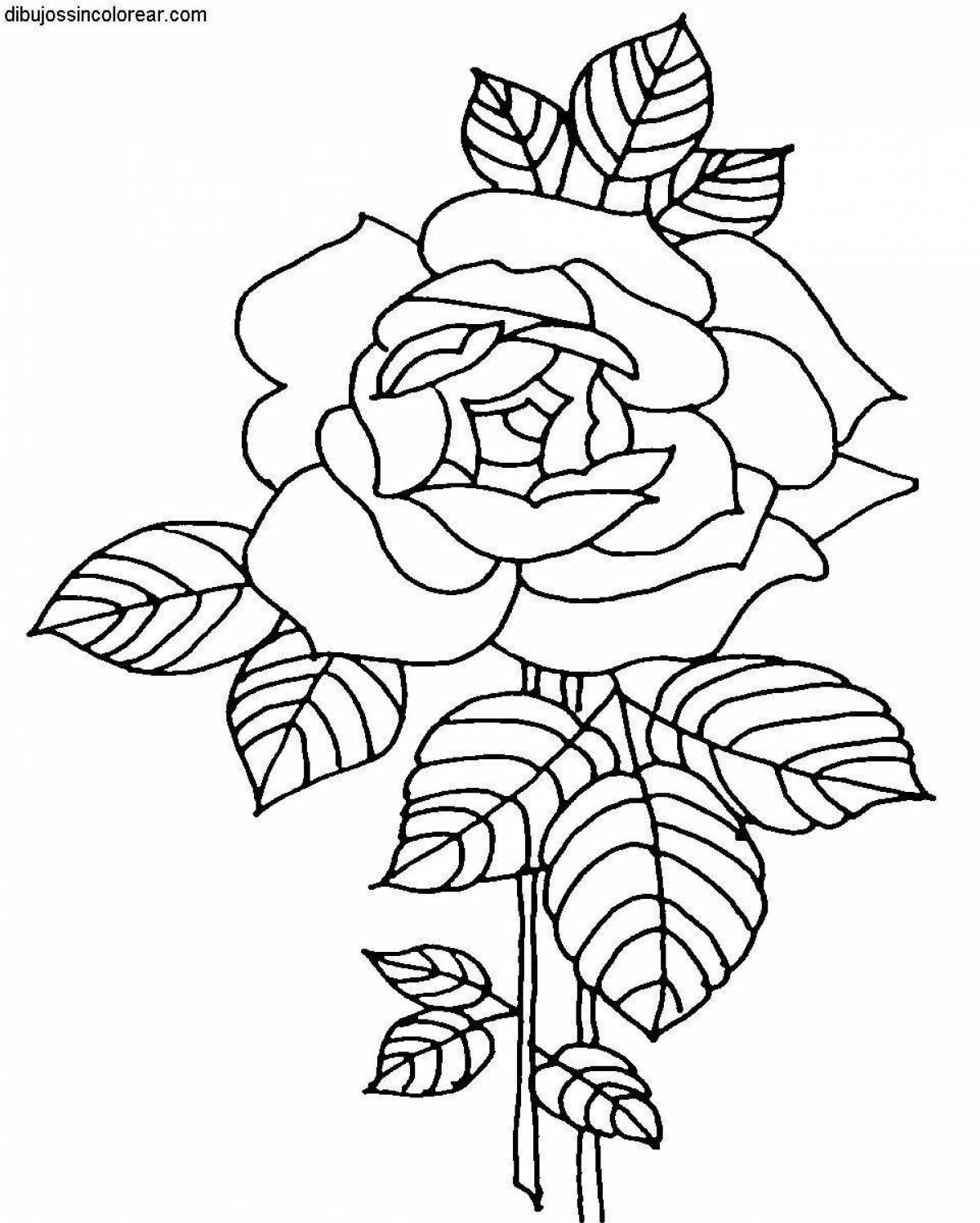 Violent coloring roses for children 5-6 years old