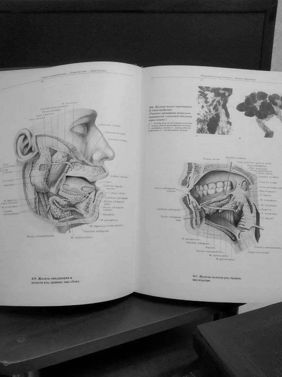 Great coloring atlas of human anatomy