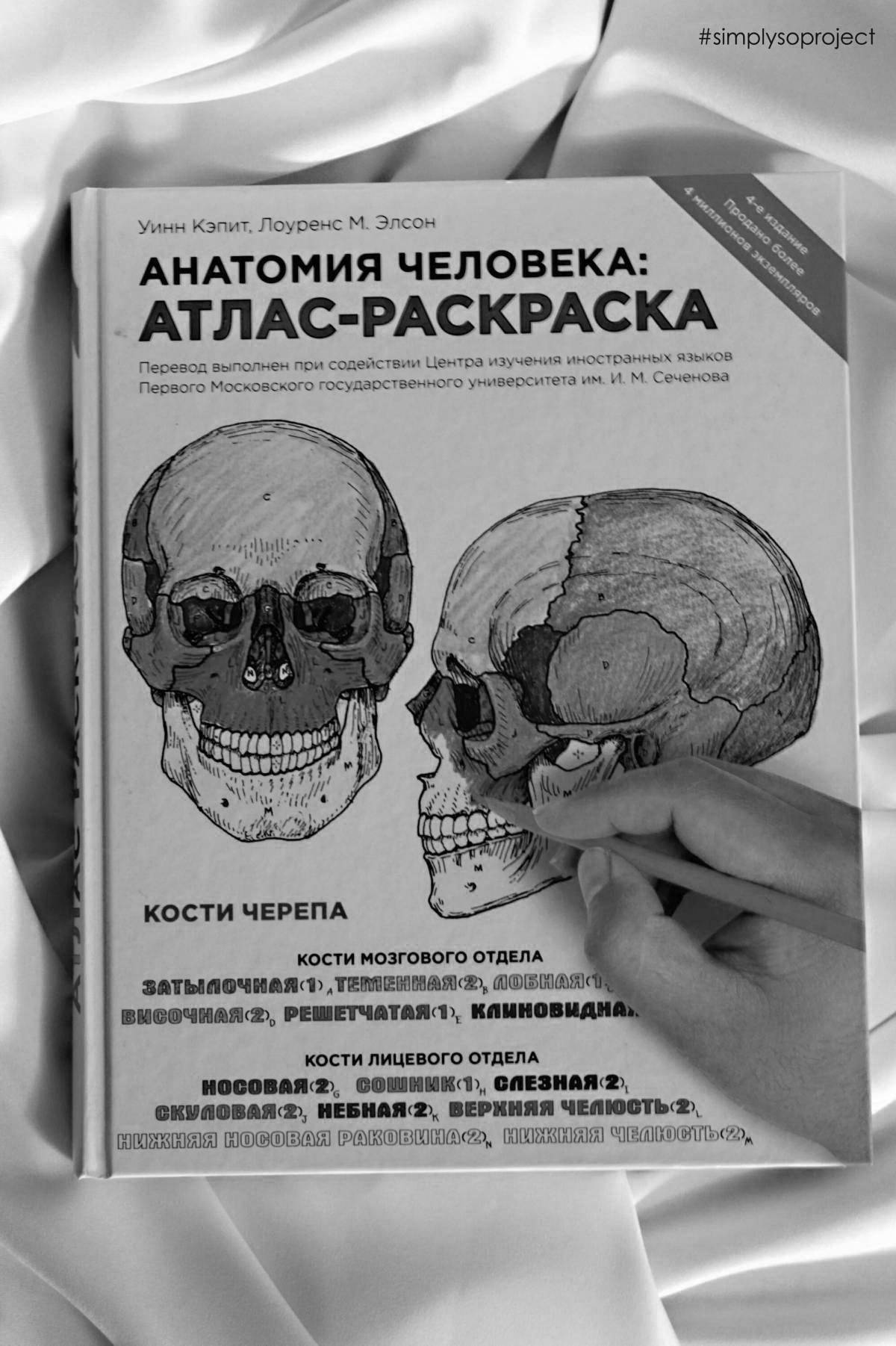 Grand coloring atlas of human anatomy