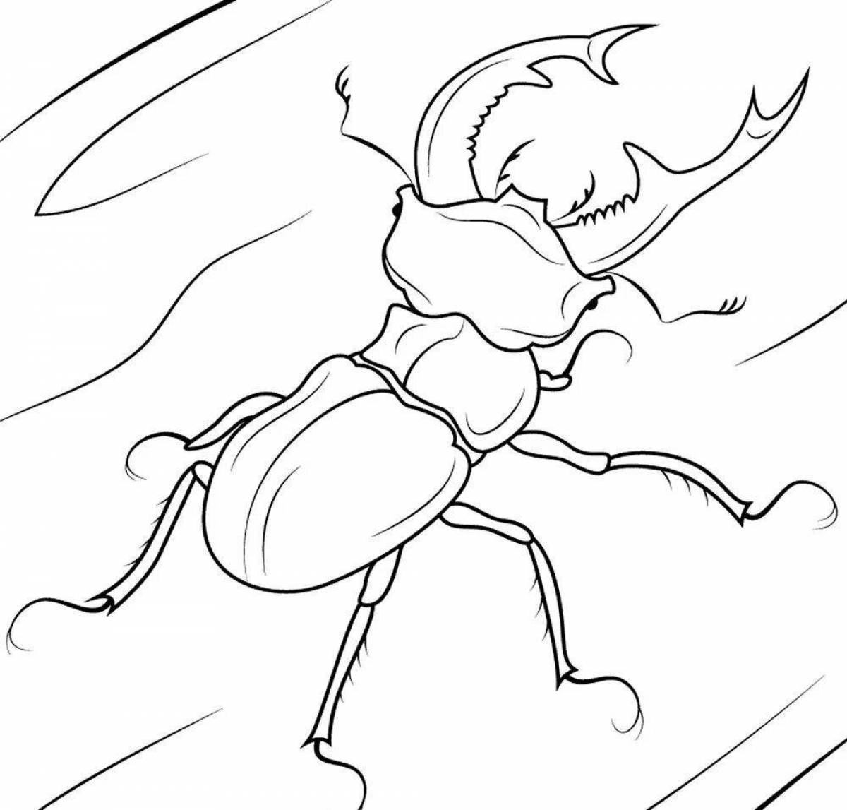 Раскраска игривый жуков