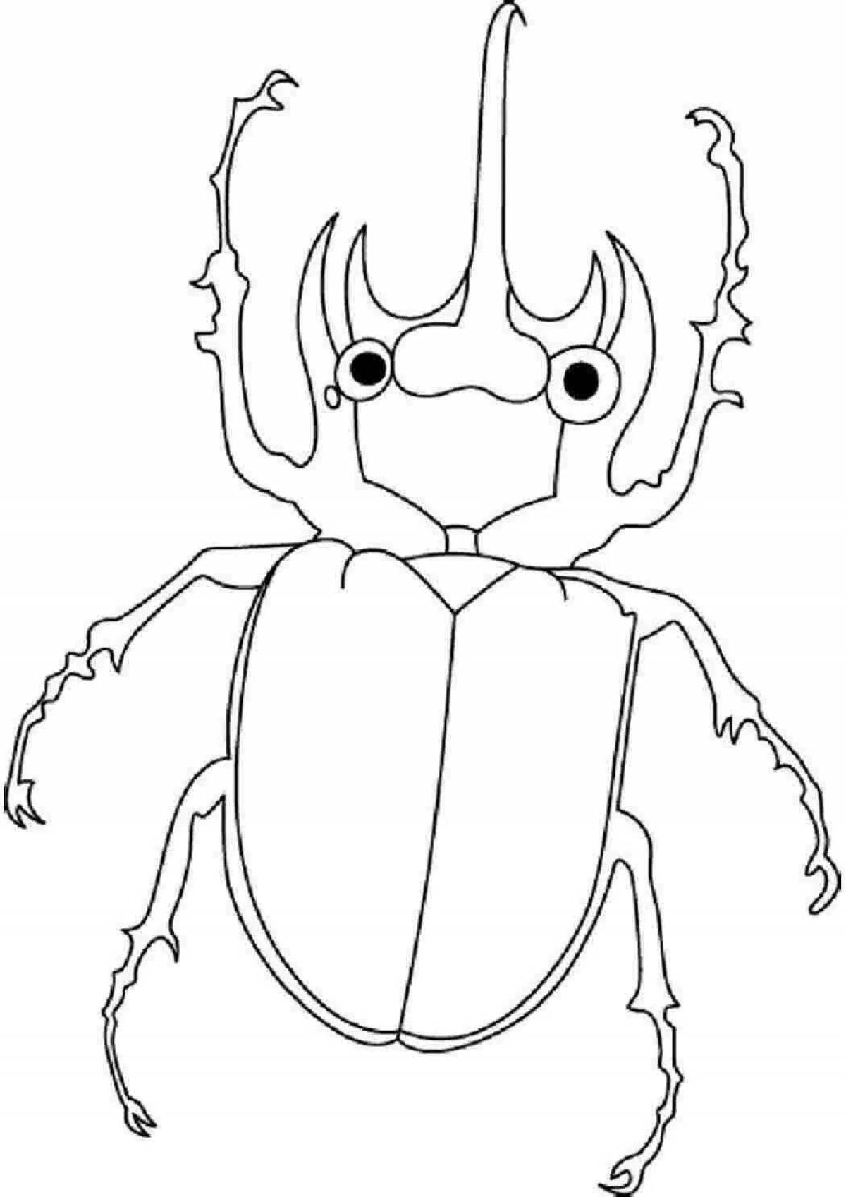 Gorgeous beetle coloring book