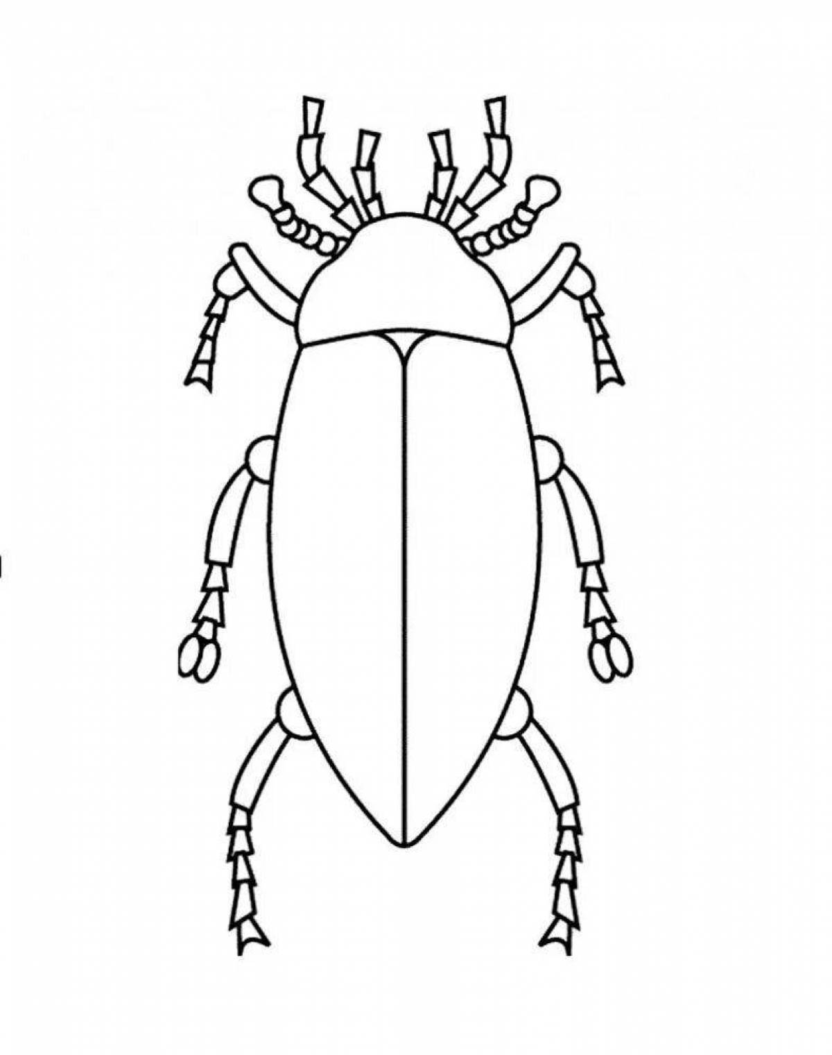 Exquisite beetle coloring book