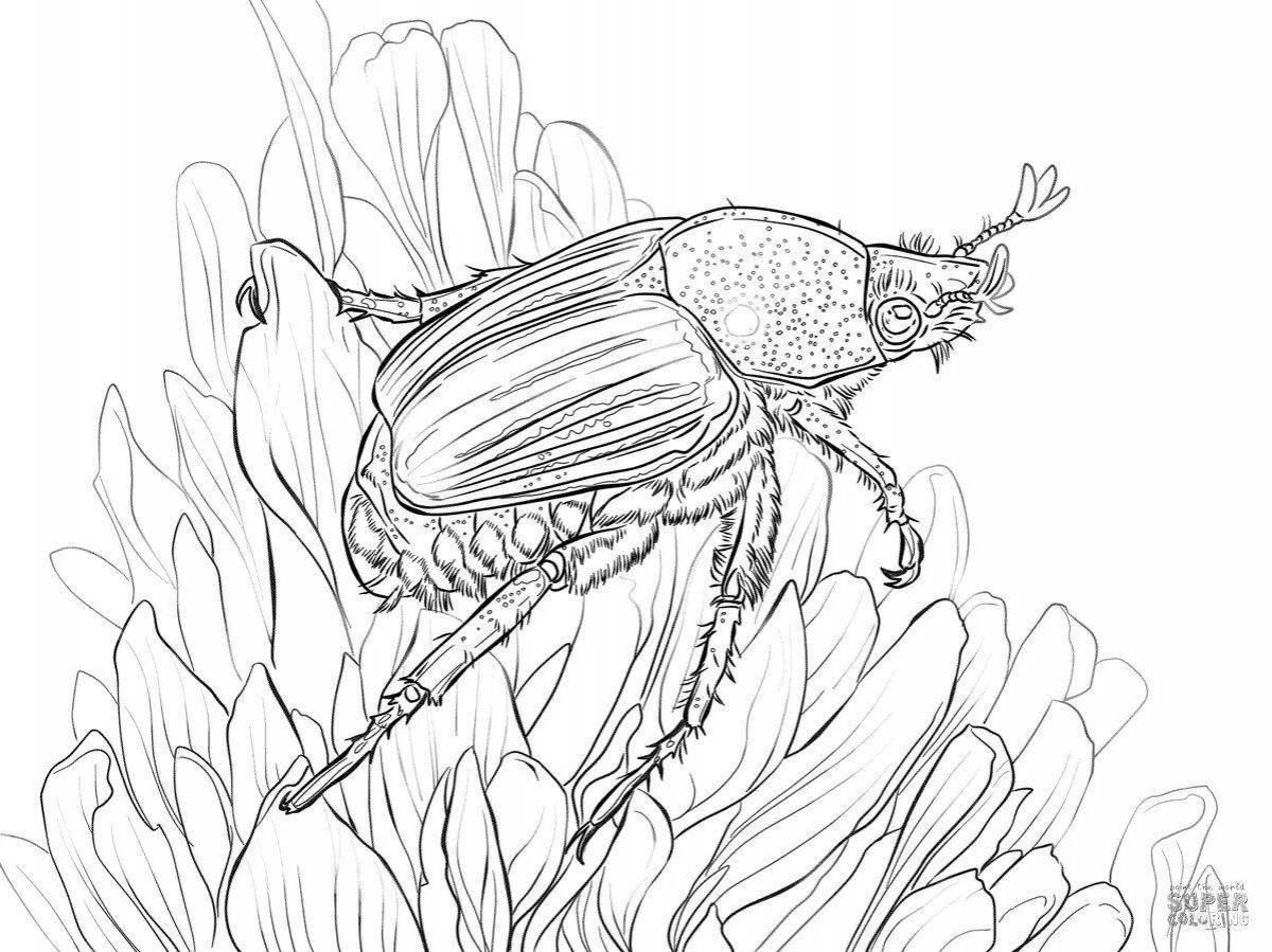 Раскраска манящий жуков
