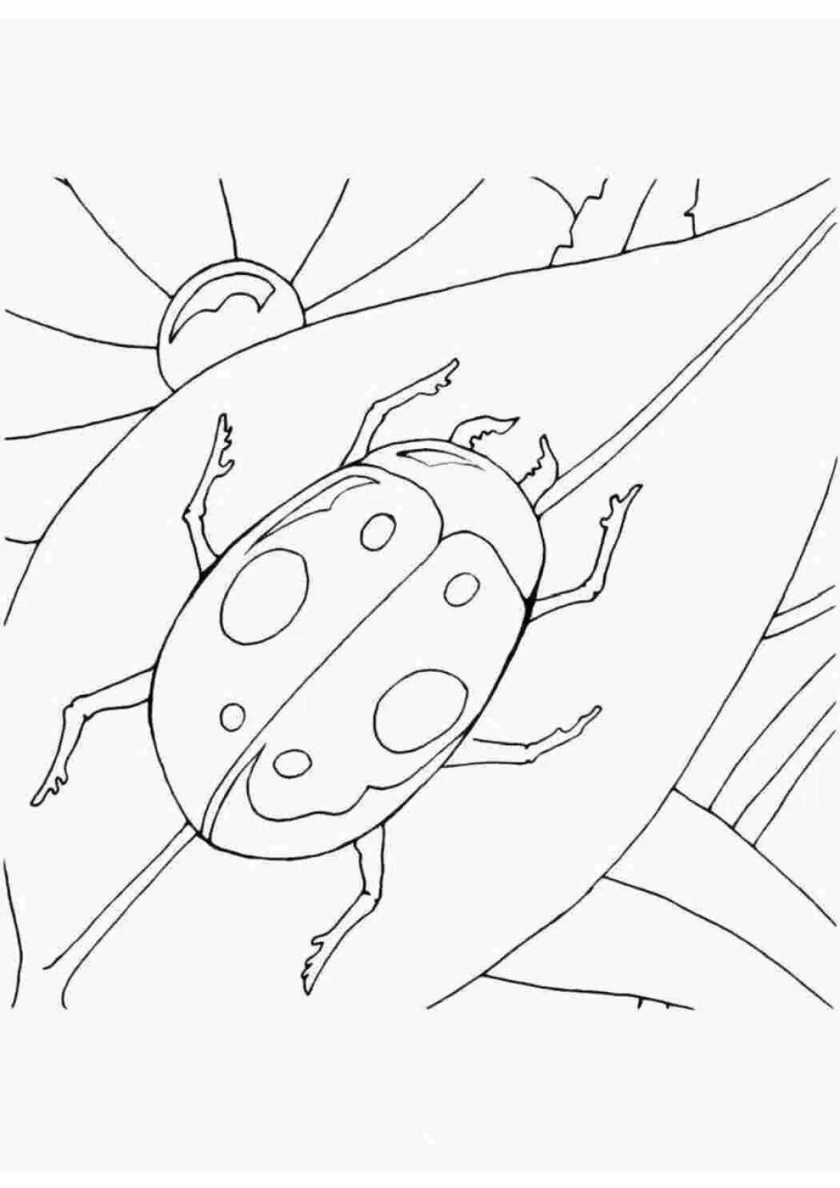 Dazzling beetle coloring book