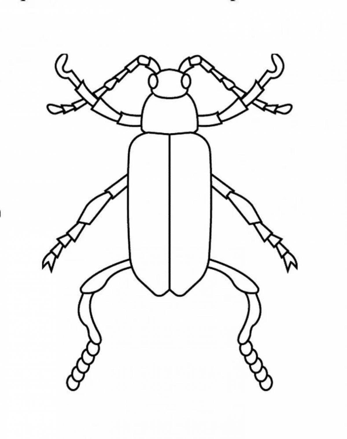 Cool bugs coloring book