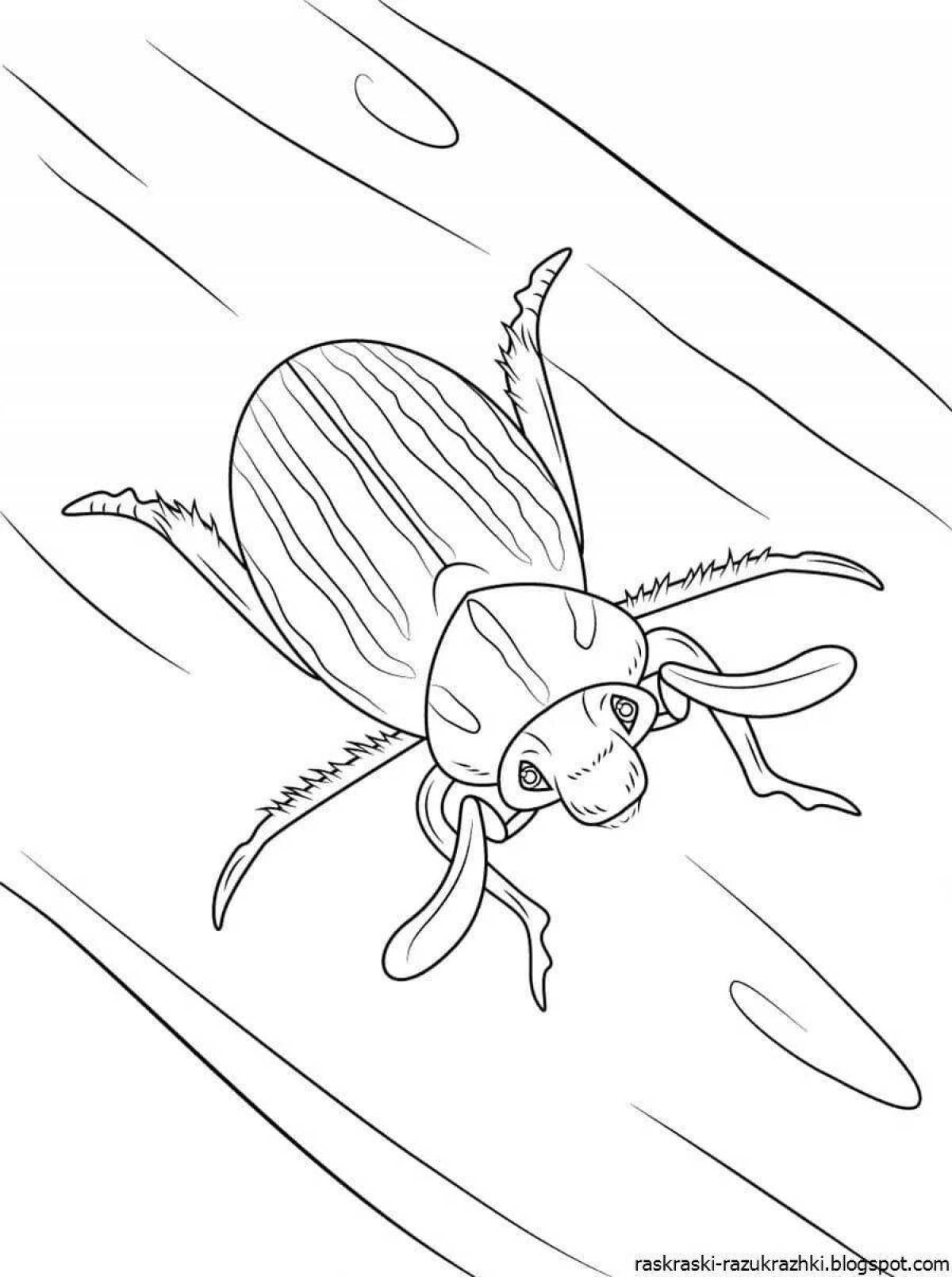 Раскраска насекомых: векторные изображения и иллюстрации, которые можно скачать бесплатно | Freepik