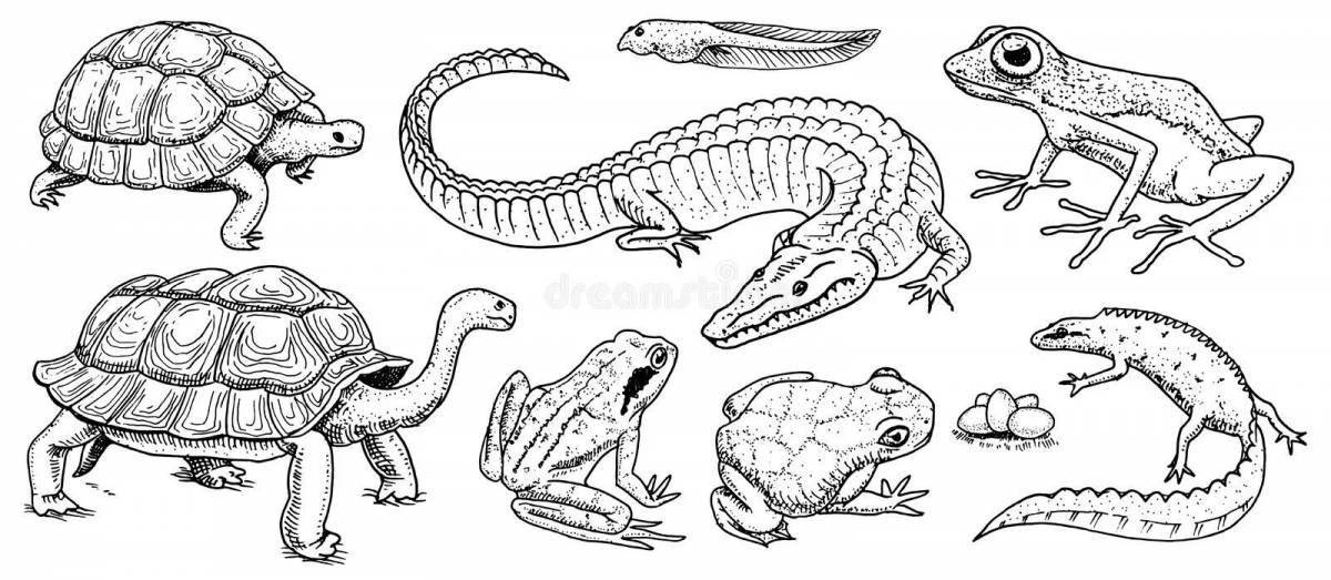 Fancy reptile coloring pages