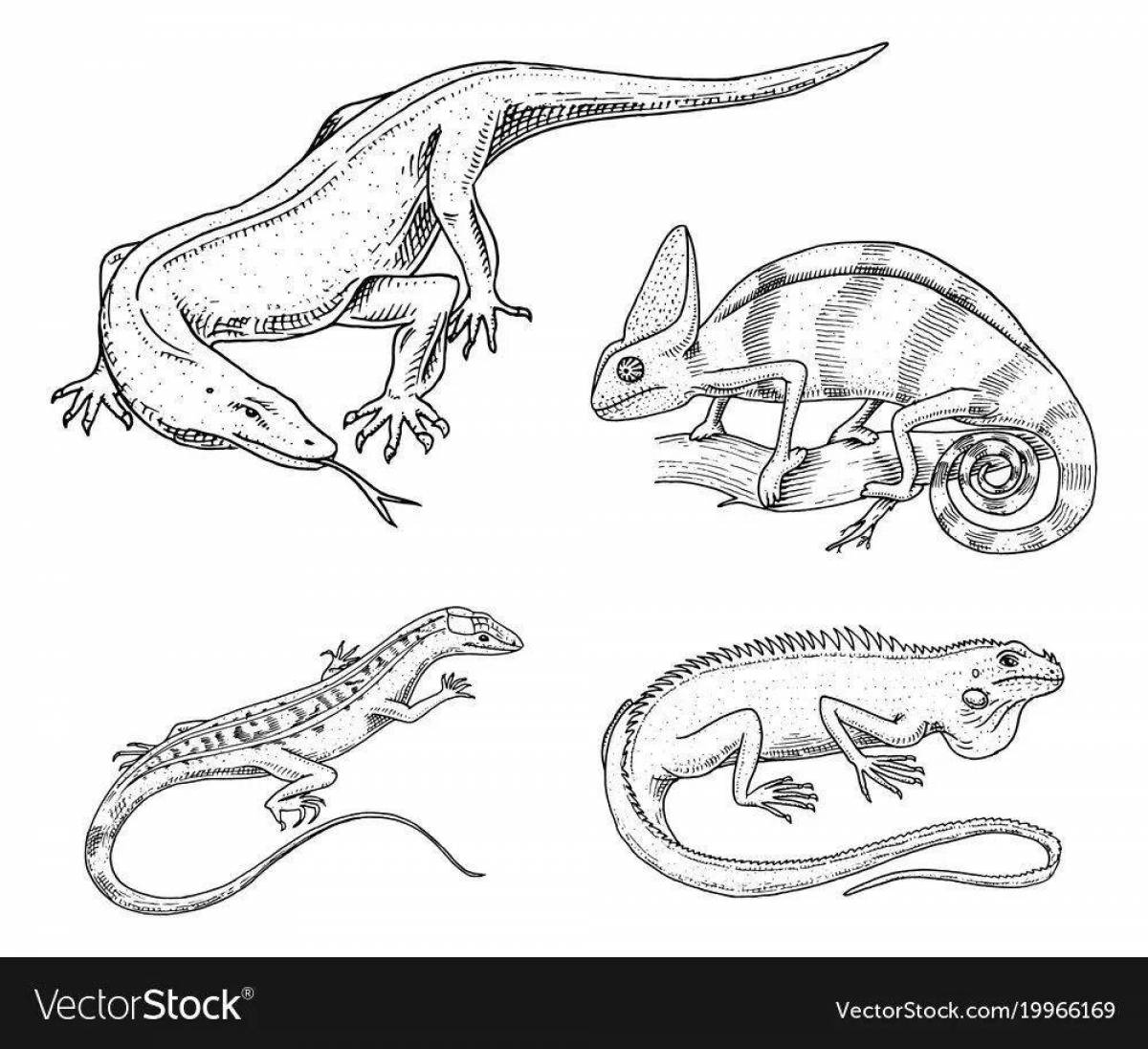 Great reptile coloring pages
