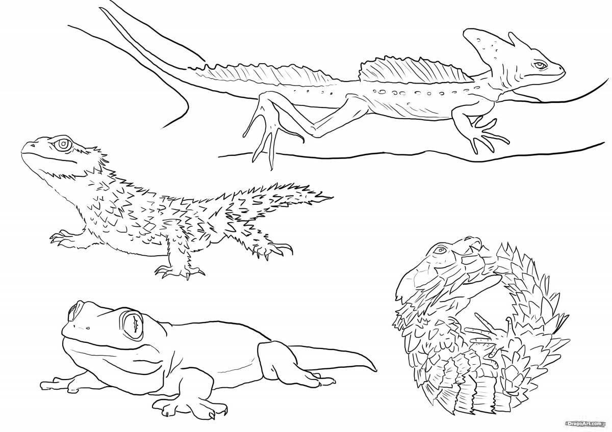 Dazzling reptile coloring pages