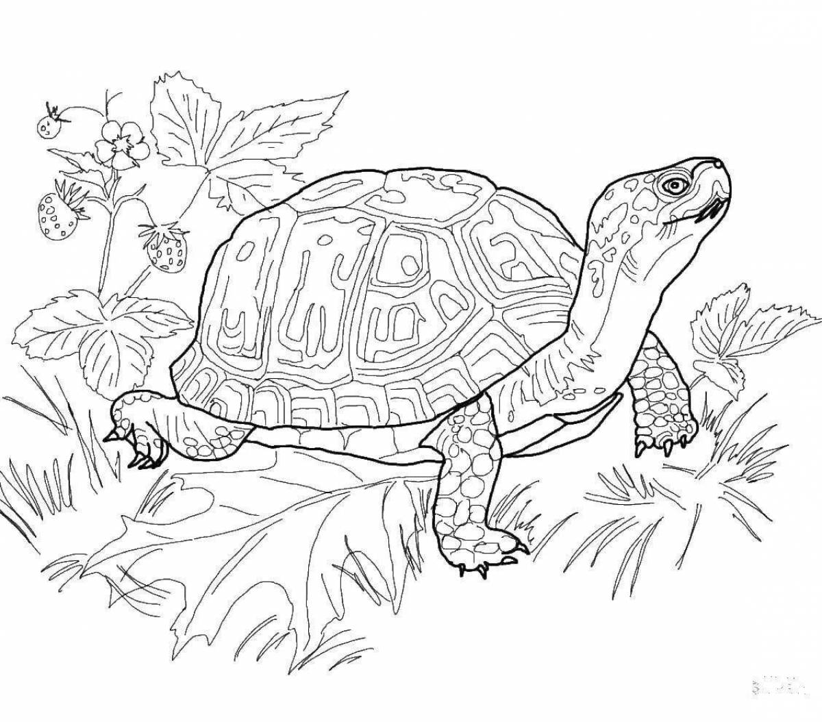 Glorious reptile coloring pages