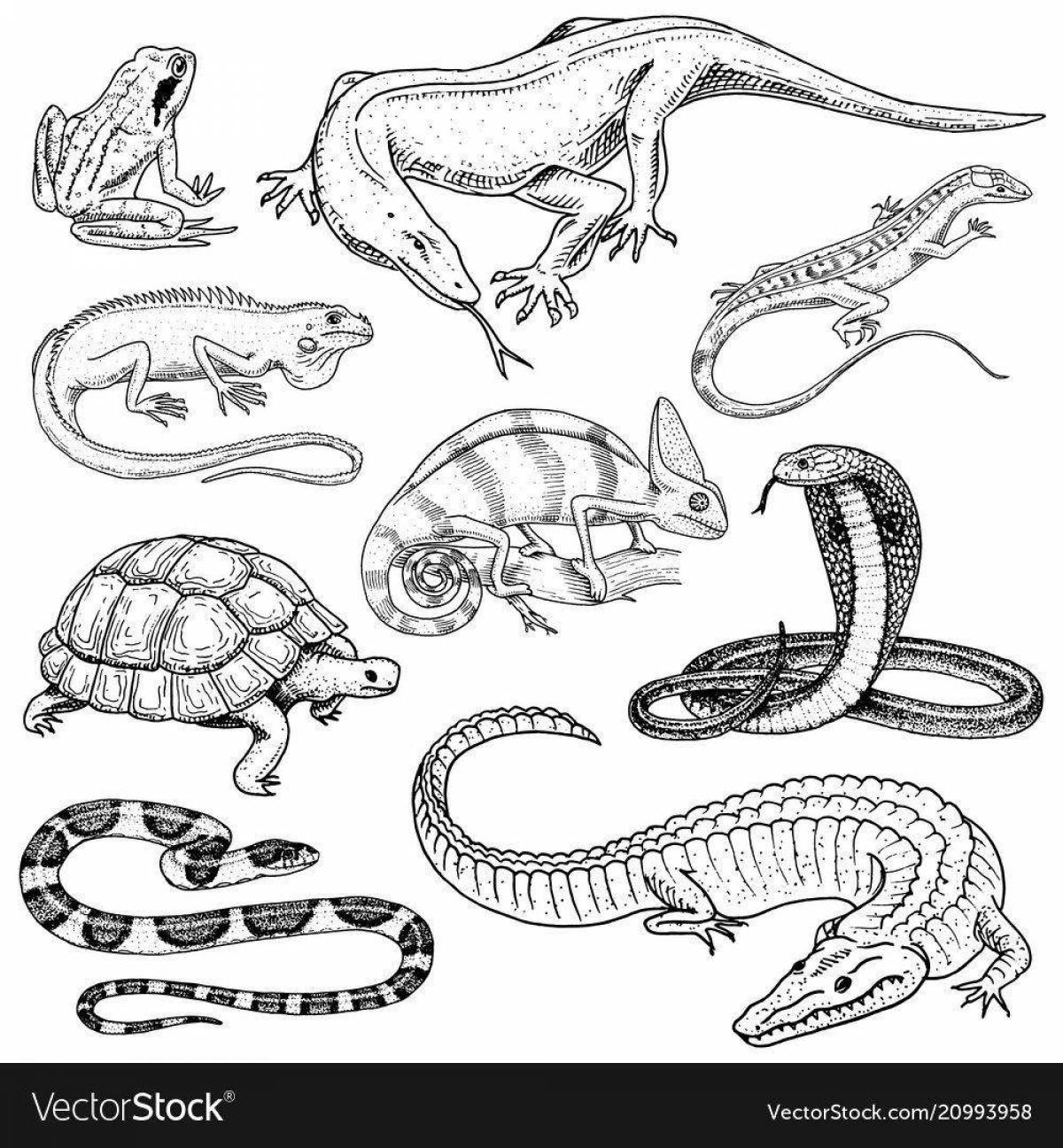 Elegant reptile coloring pages