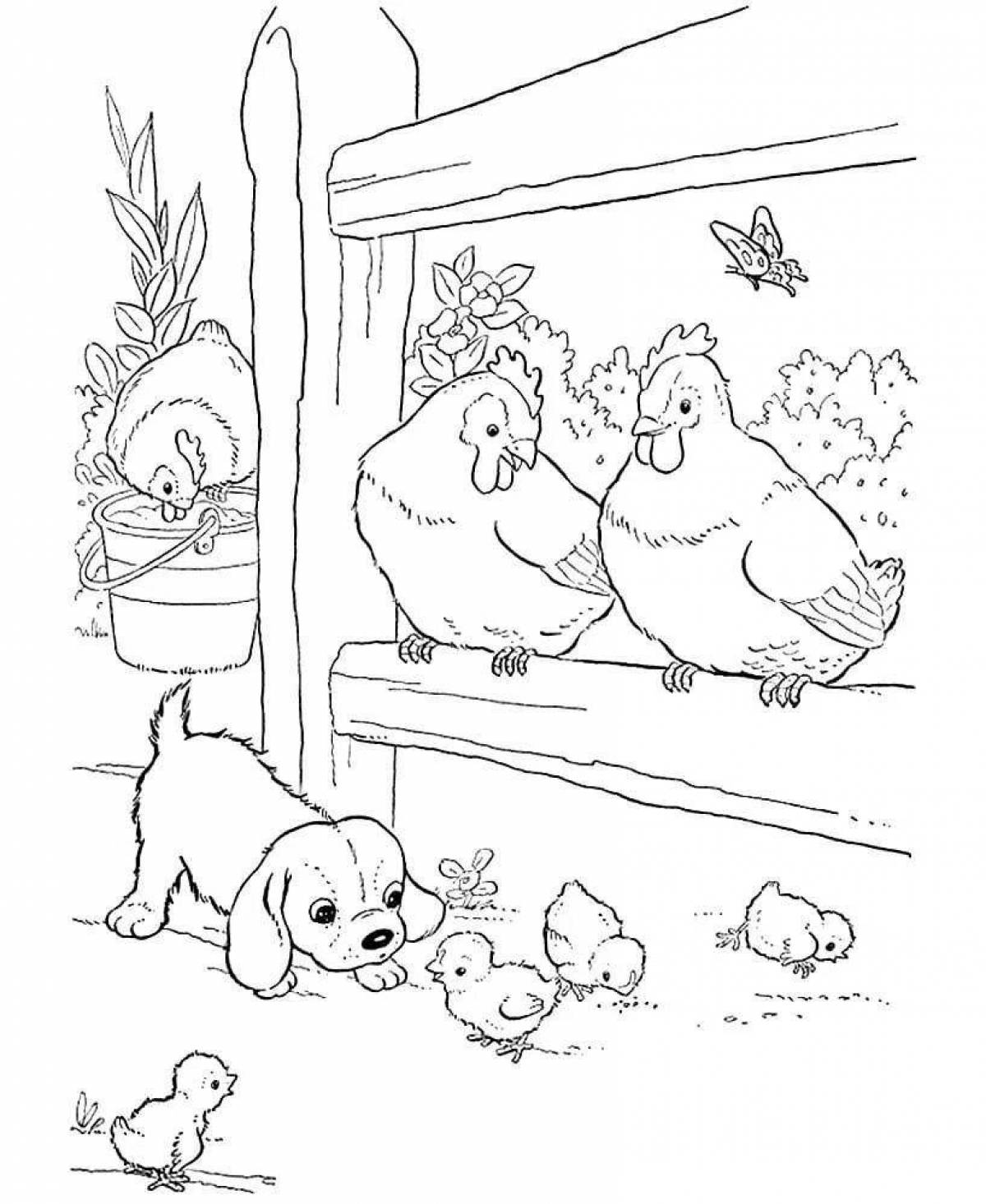 Bright chicken coop coloring page
