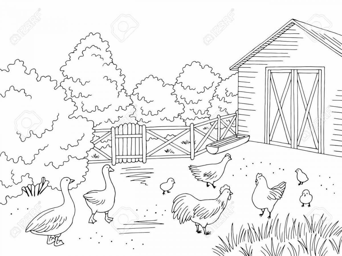 Humorous chicken coop coloring book