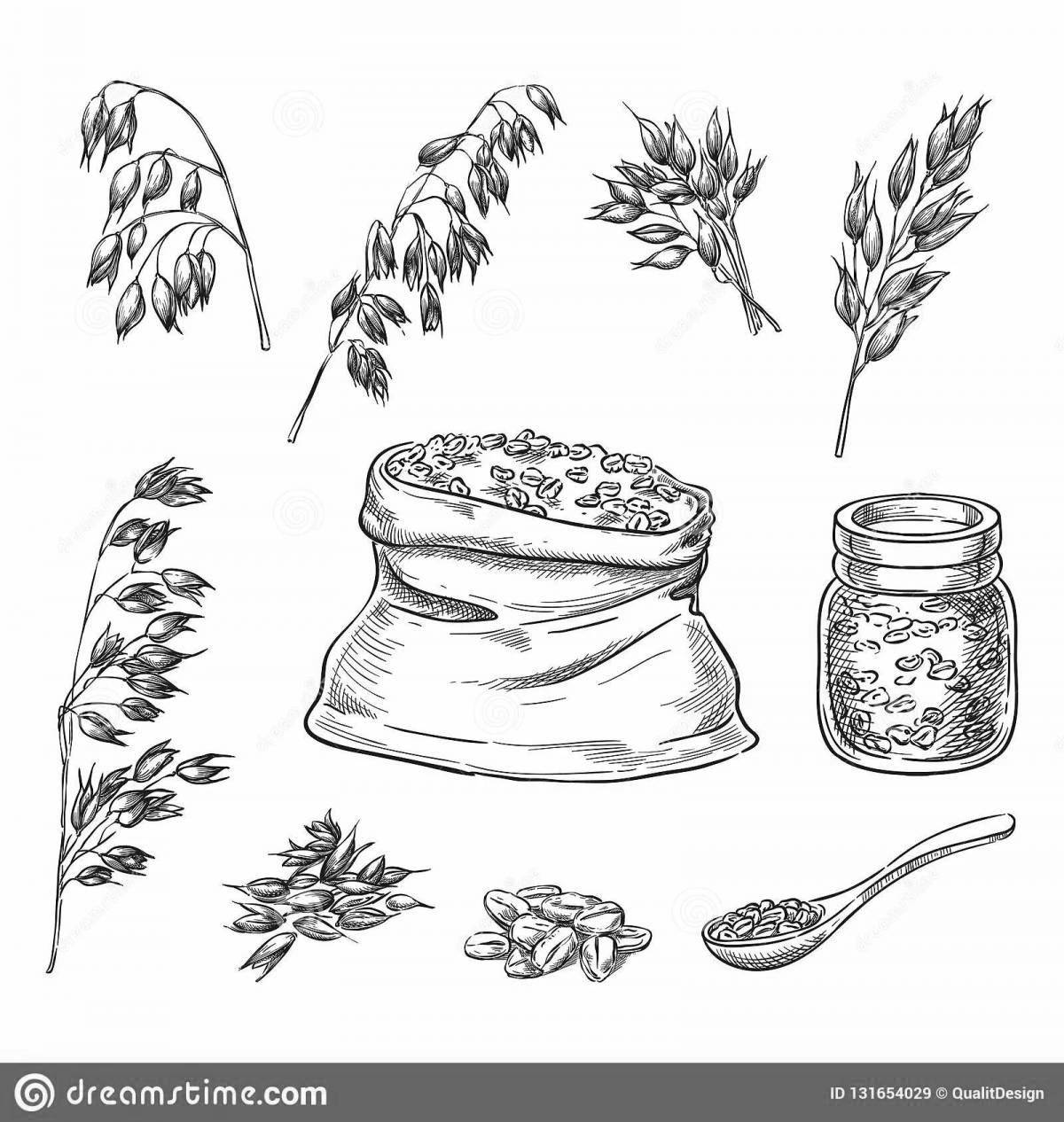 Charming buckwheat coloring book