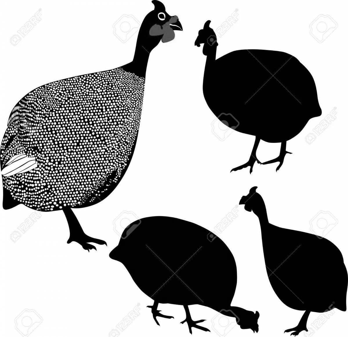 Amazing guinea fowl coloring page