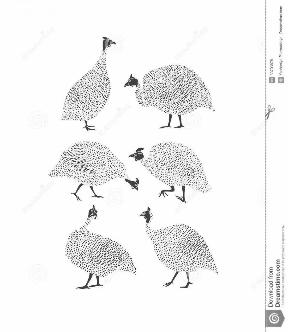 Photo Fun coloring guinea fowl