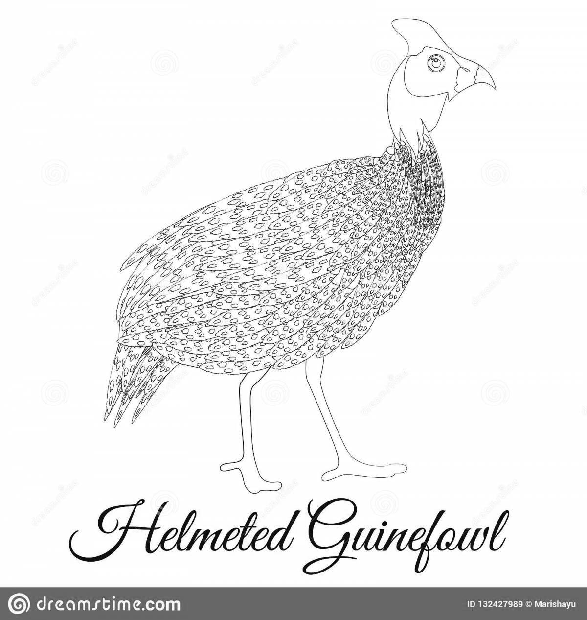 Coloring page charming guinea fowl