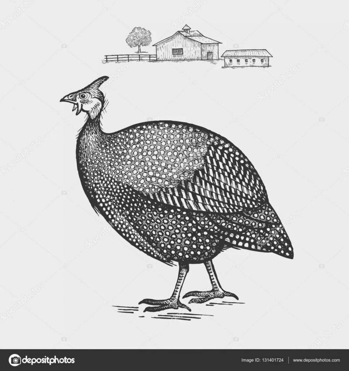 Photo Adorable Guinea Fowl Coloring Page