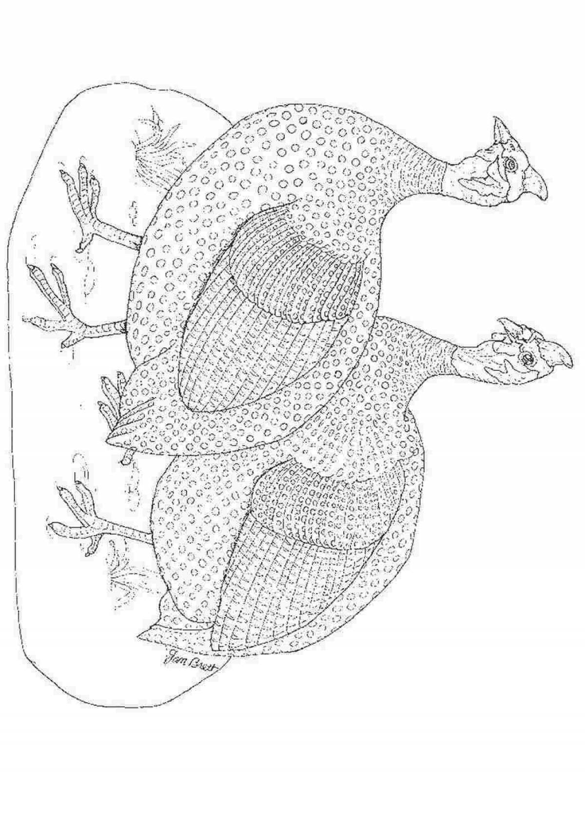 Photo Coloring book exquisite guinea fowl