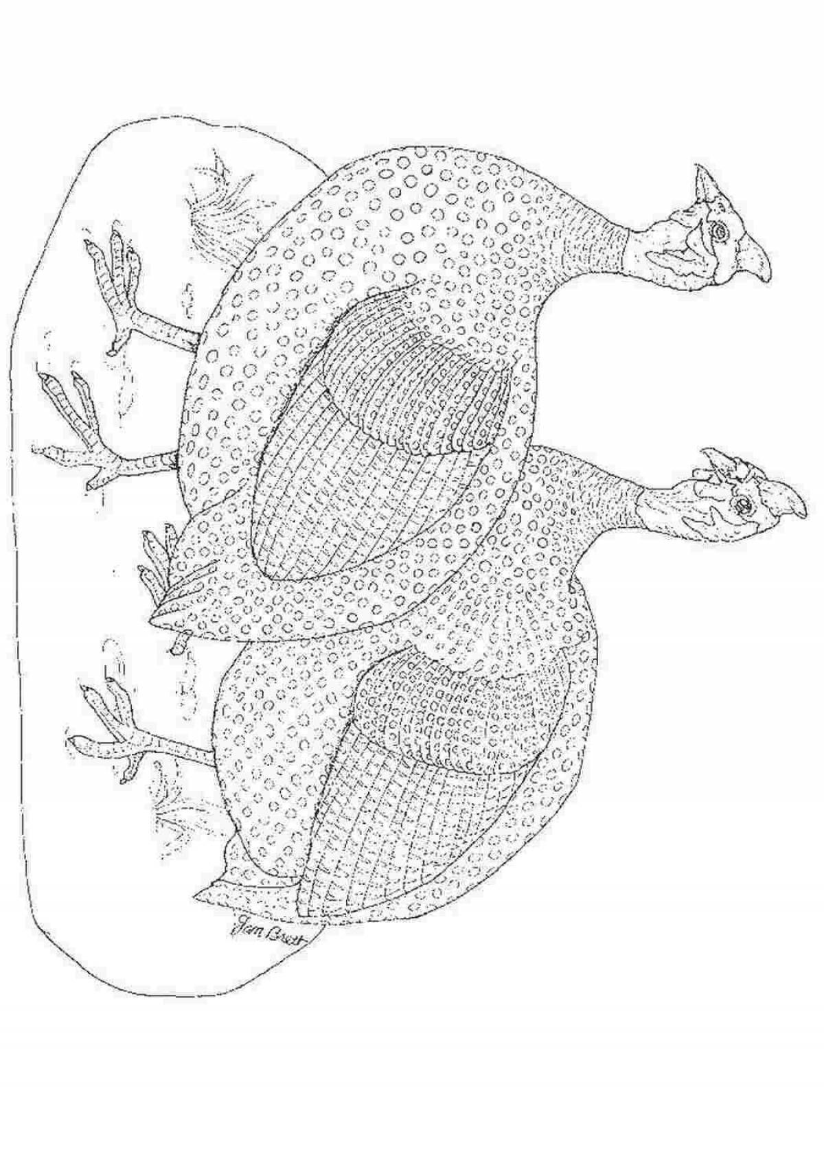 Раскраска изысканная цесарка