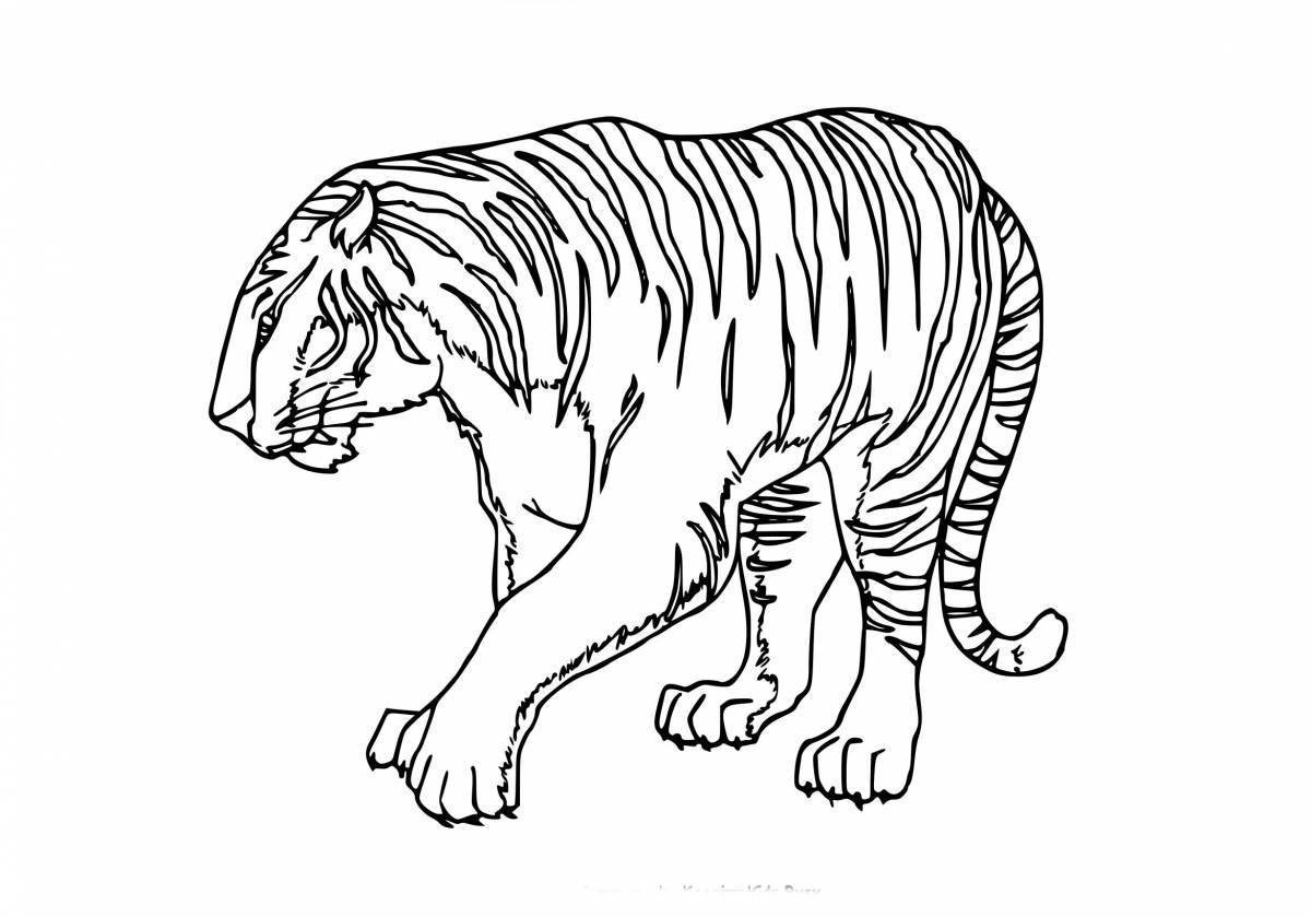 Жолбарыс Разукрашки - 69 фото