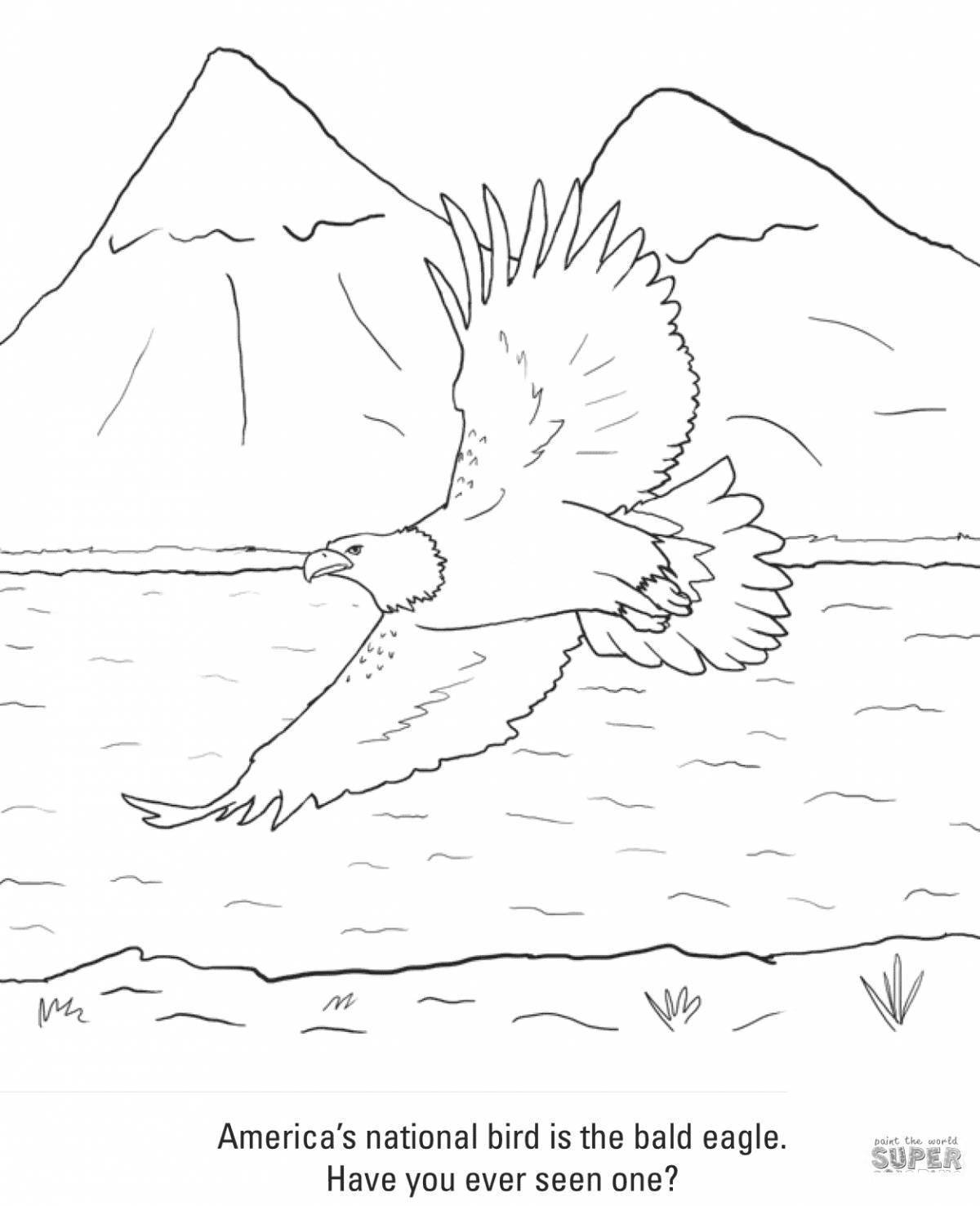 Белоголовый Орлан раскраска