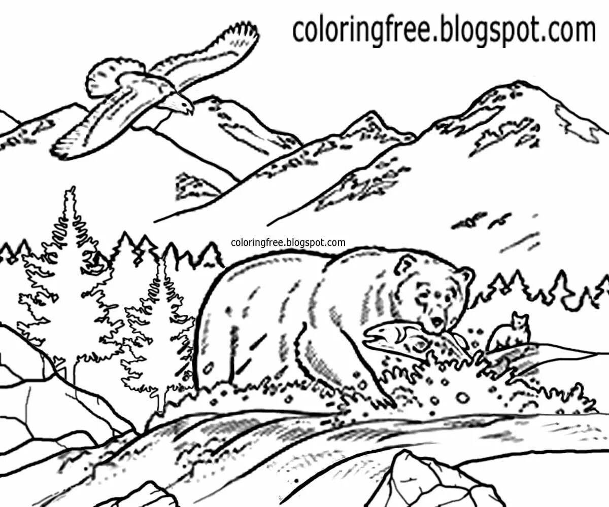 Медведь гора раскраска